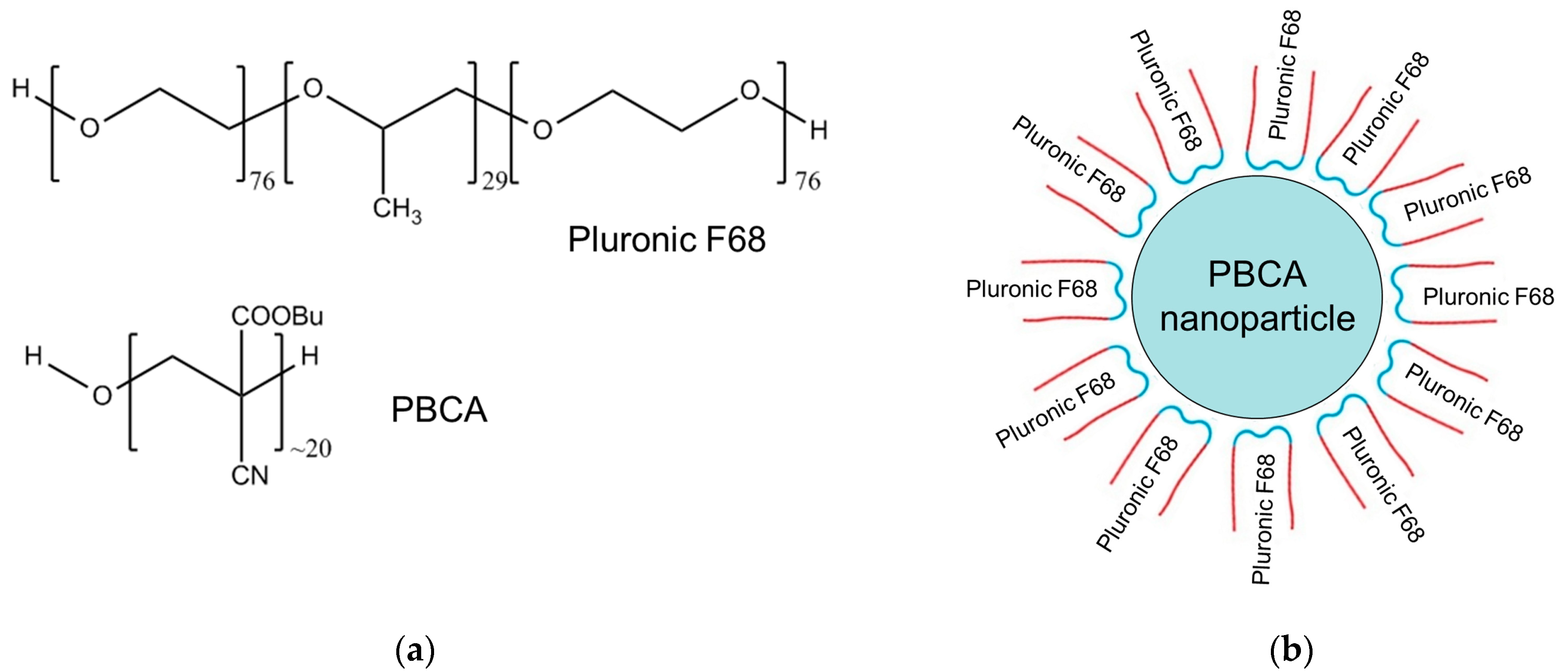 Membranes 14 00254 g001