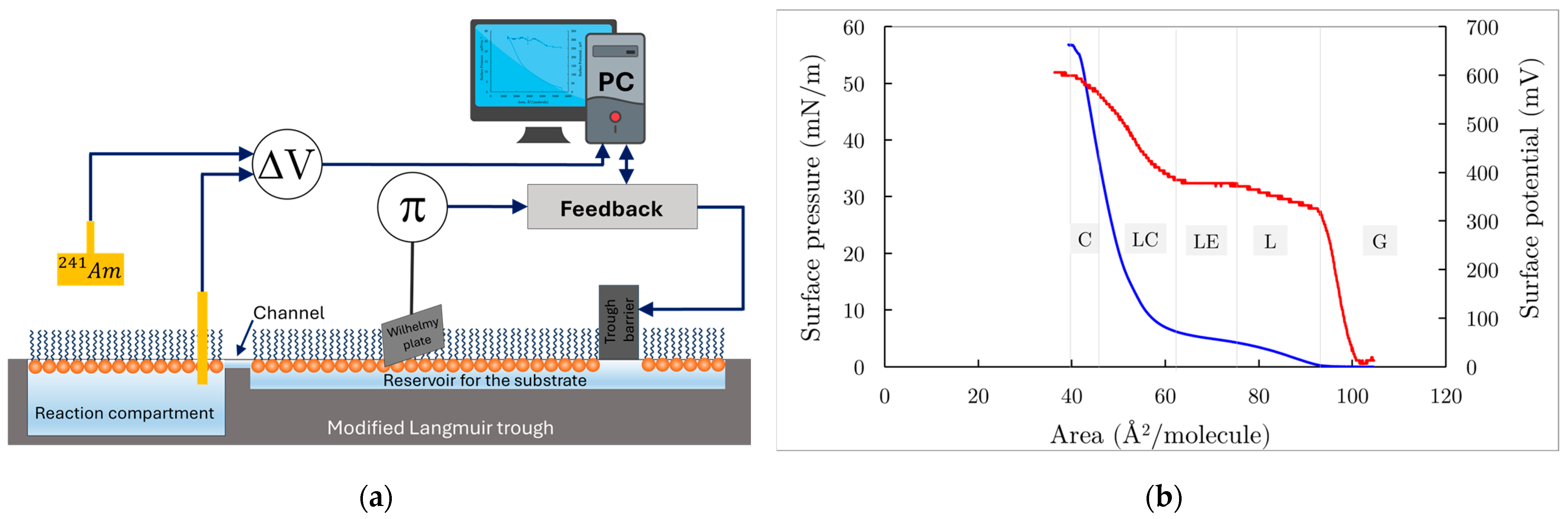 Membranes 14 00254 g003