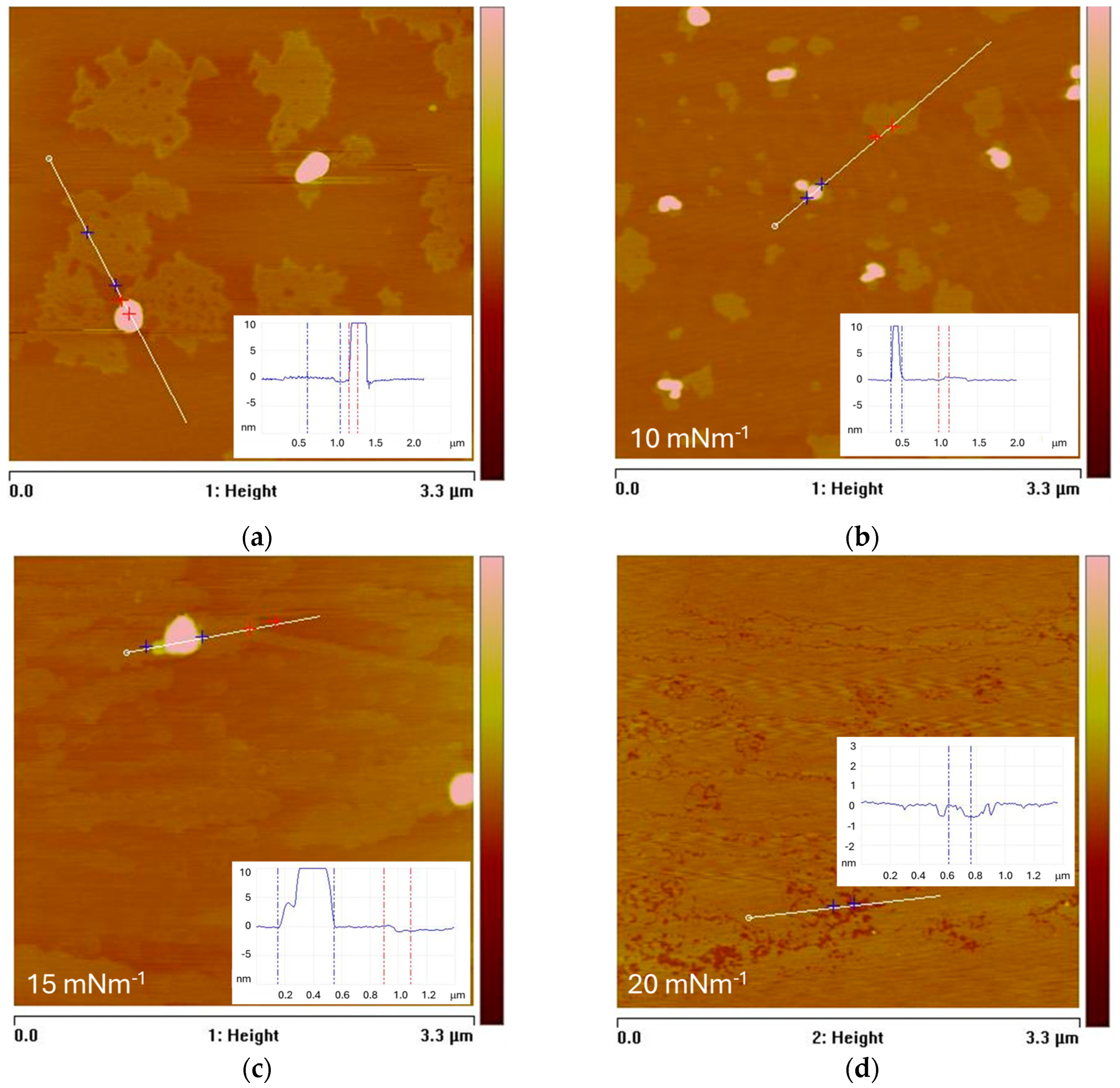 Membranes 14 00254 g008