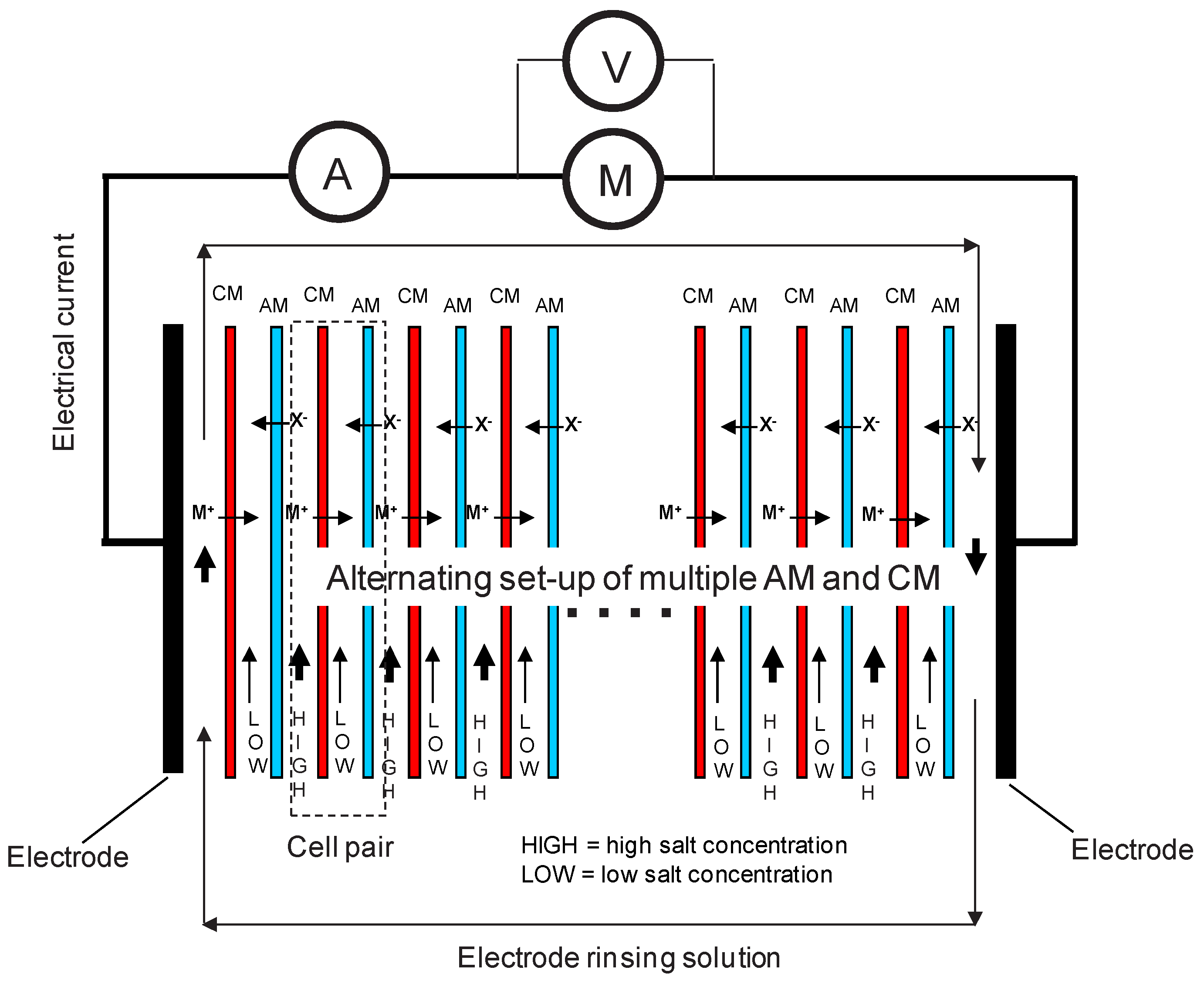 Membranes 14 00255 g001