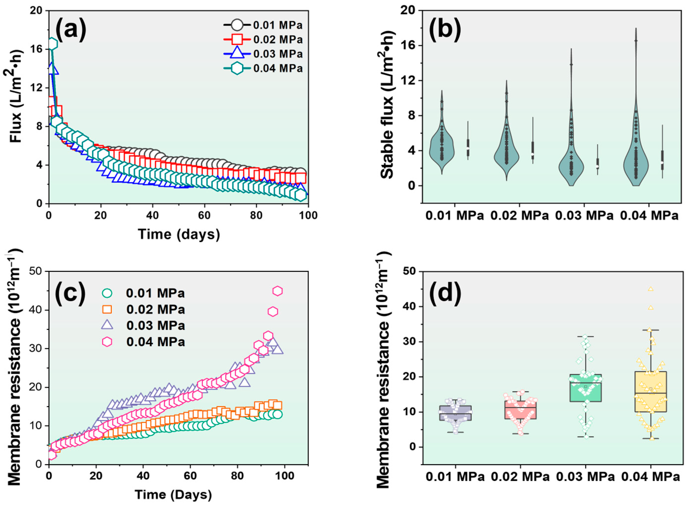 Membranes 14 00260 g002