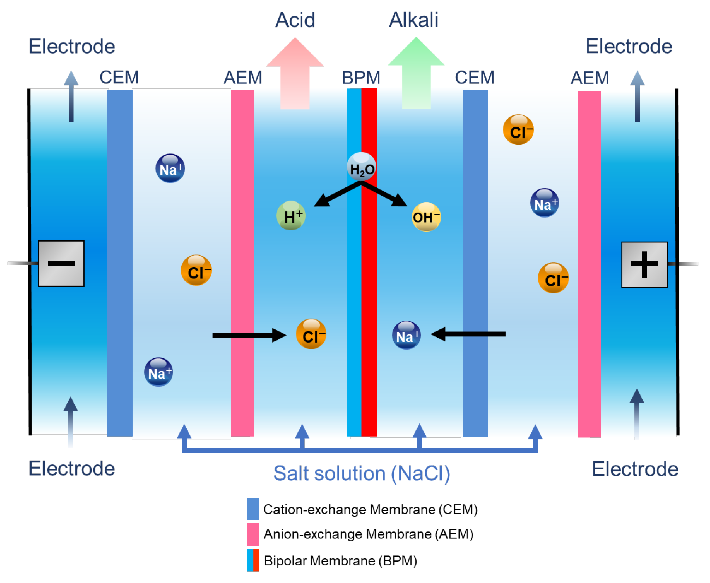 Membranes 14 00262 g001