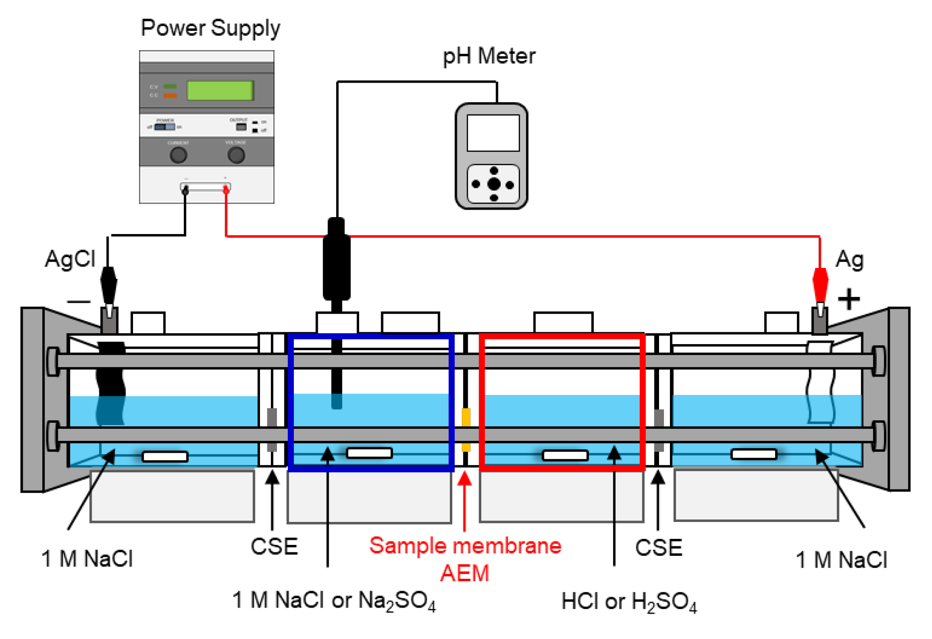 Membranes 14 00262 g003