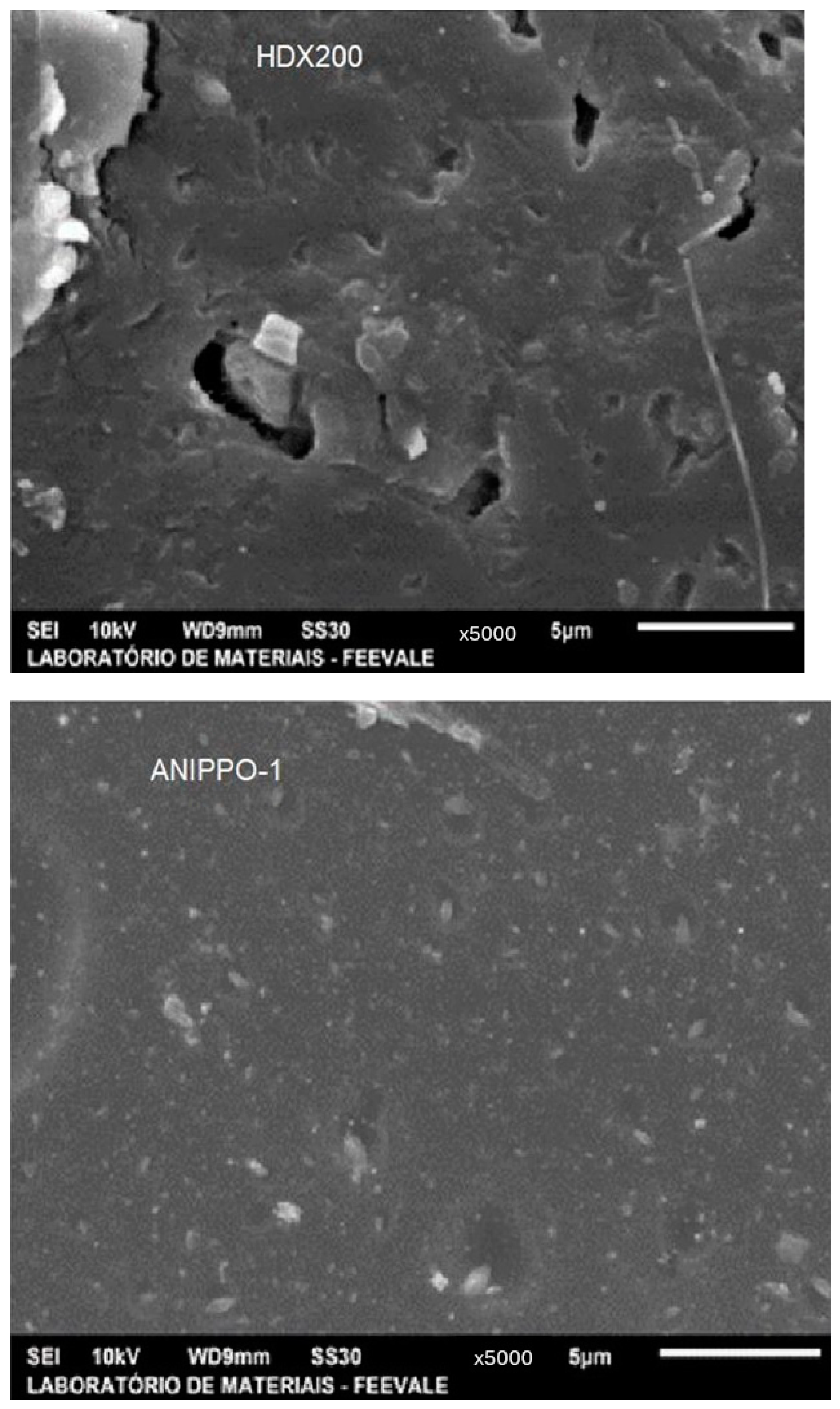 Membranes 14 00268 g003