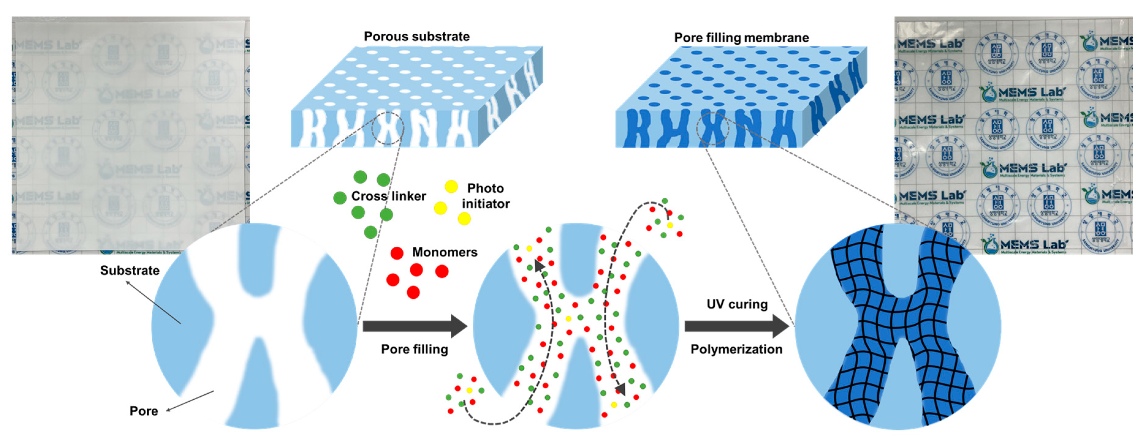 Membranes 14 00269 g001 Membranes 14 00269 g001