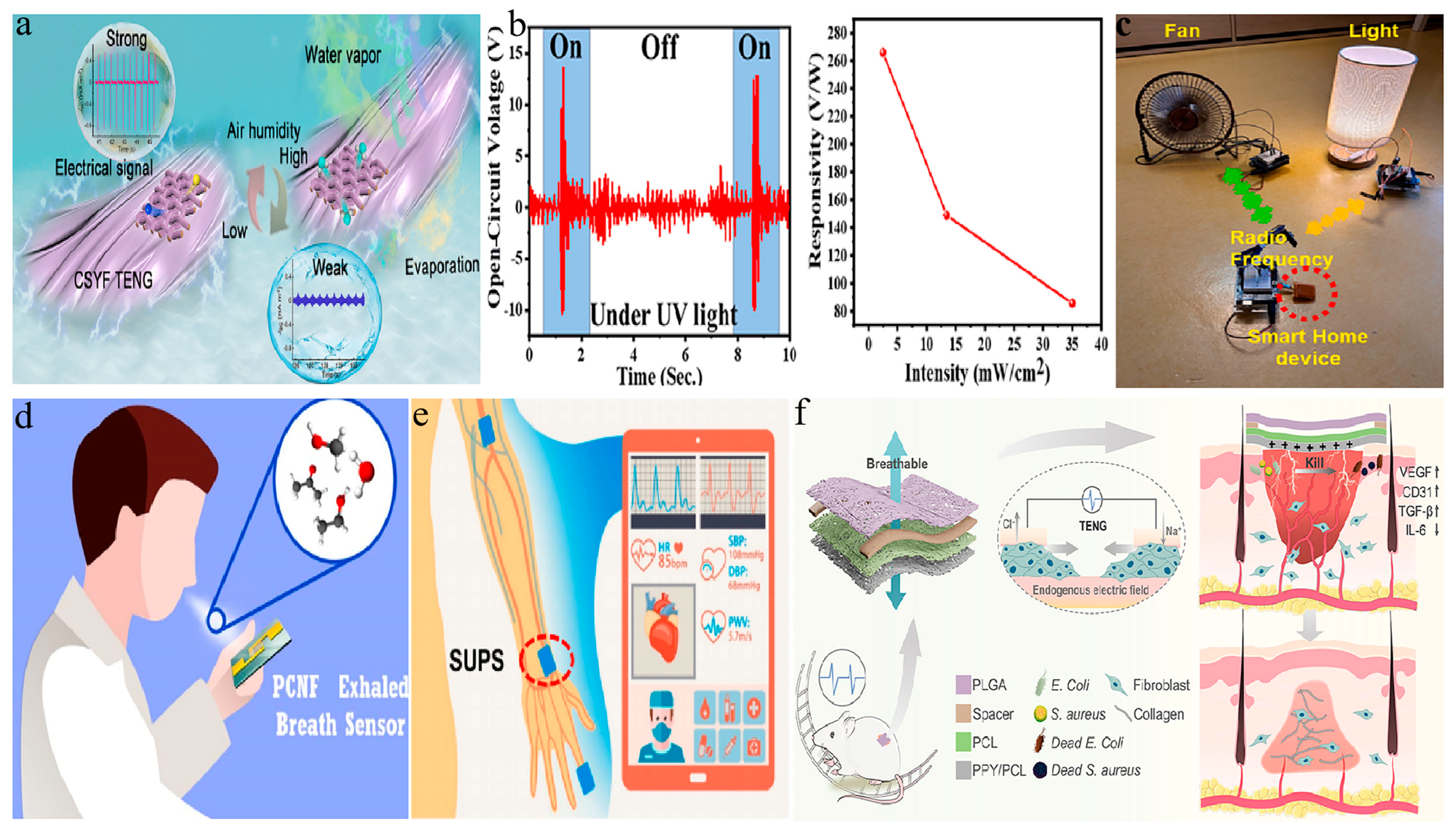 Membranes 14 00271 g006