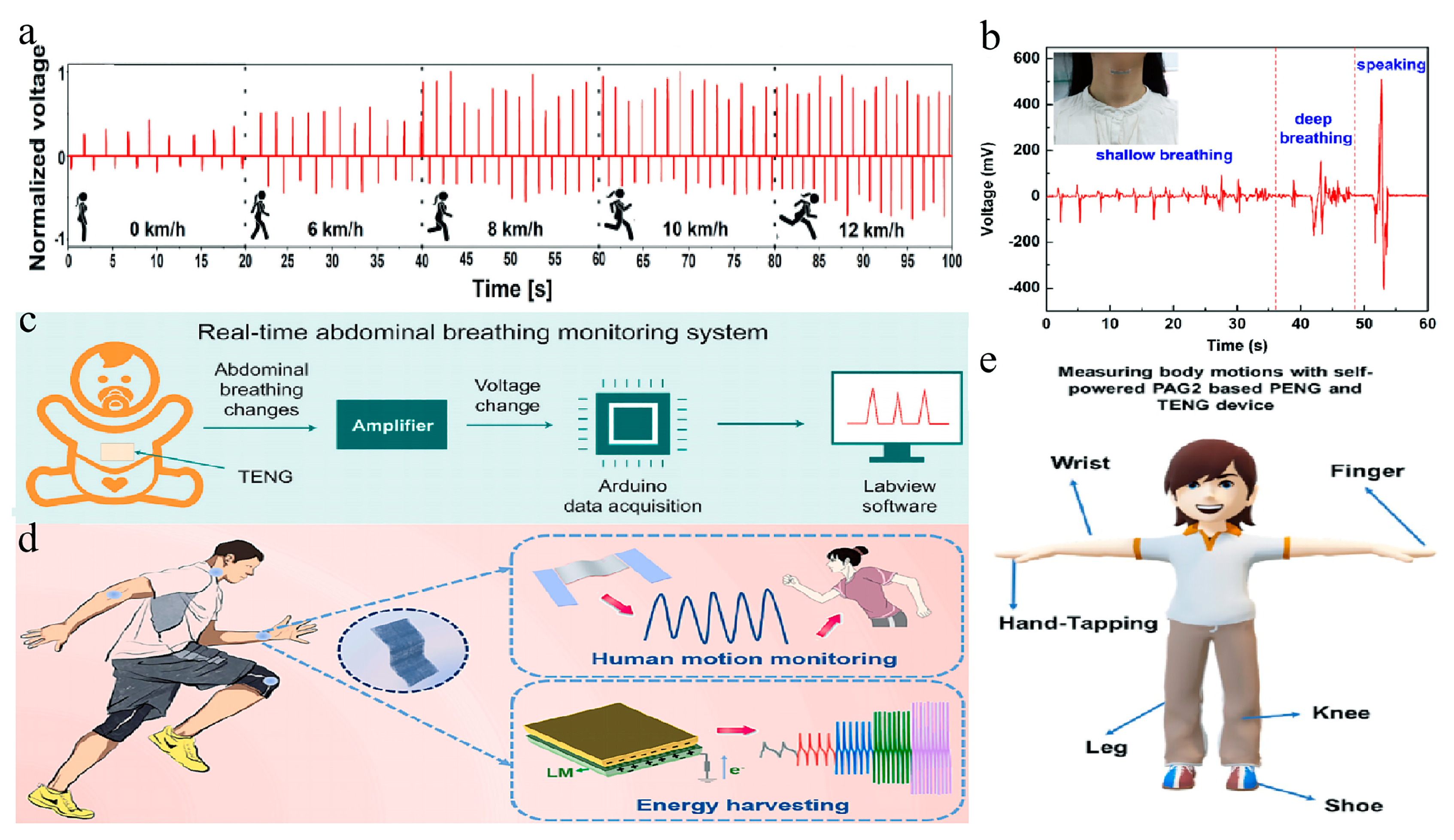 Membranes 14 00271 g008