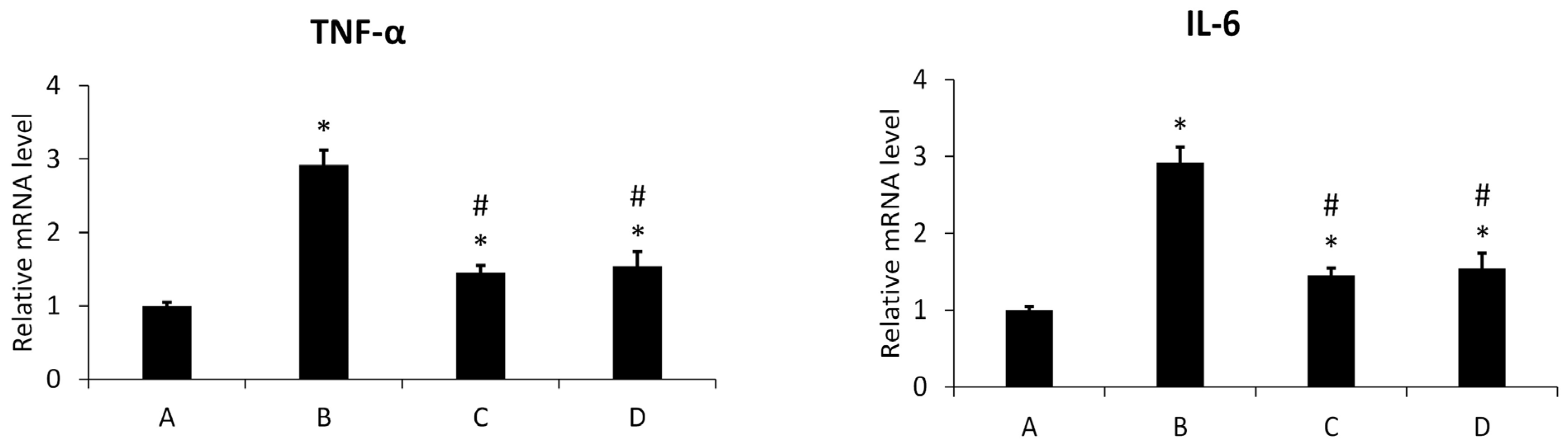 Membranes 14 00274 g008 Membranes 14 00274 g008