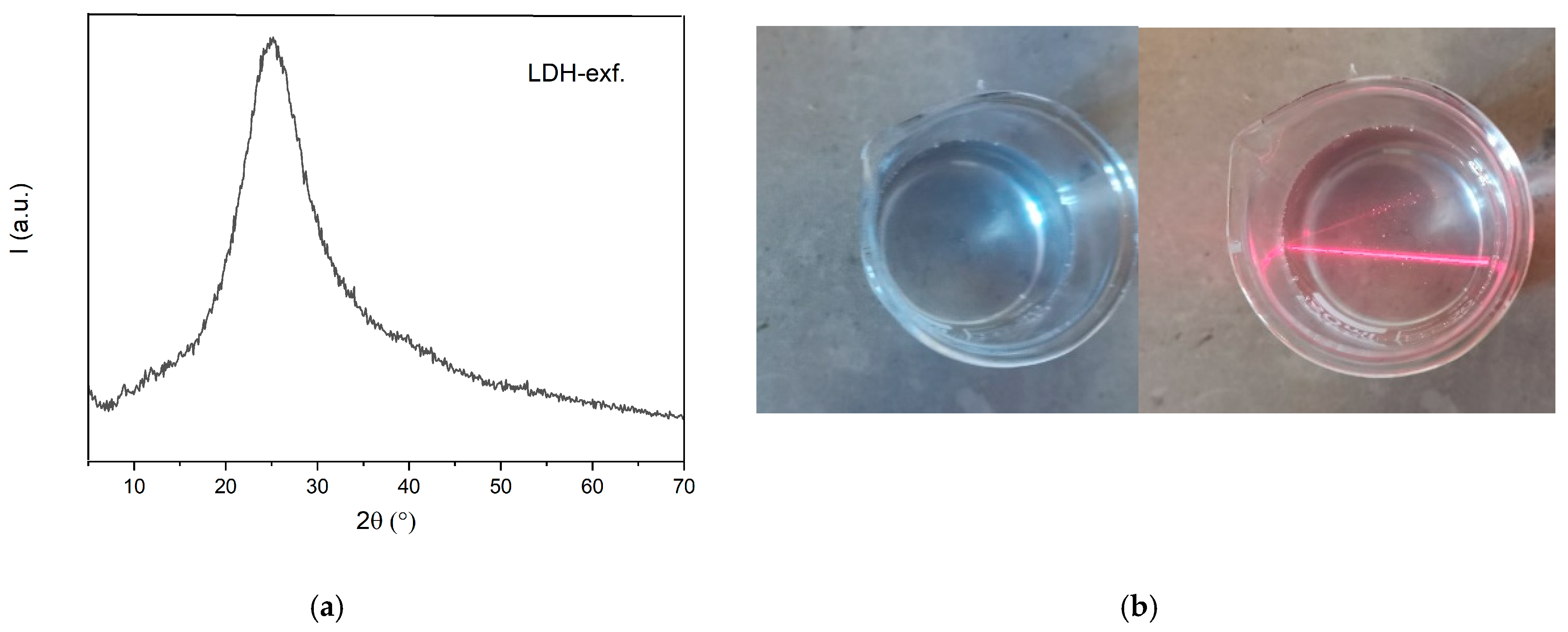 Membranes 14 00275 g001