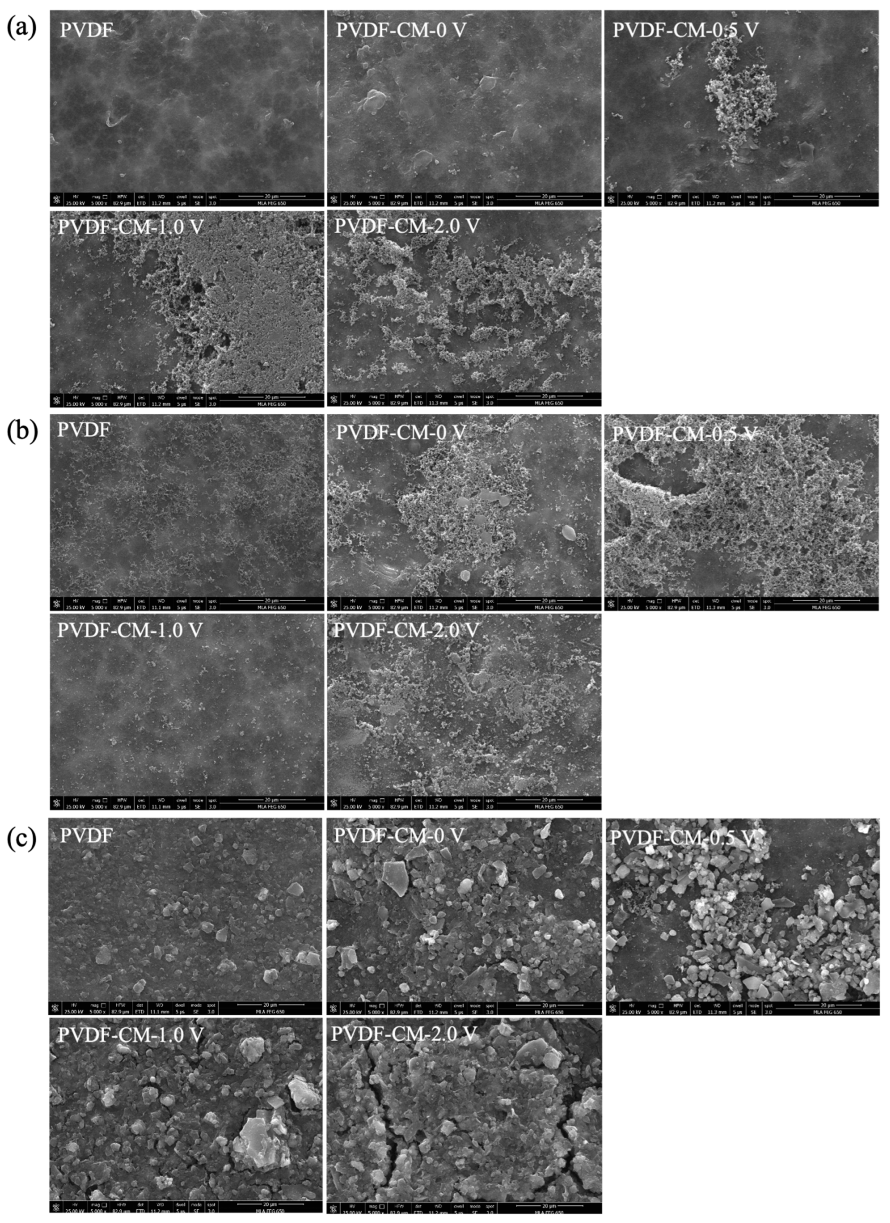 Membranes 15 00001 g008