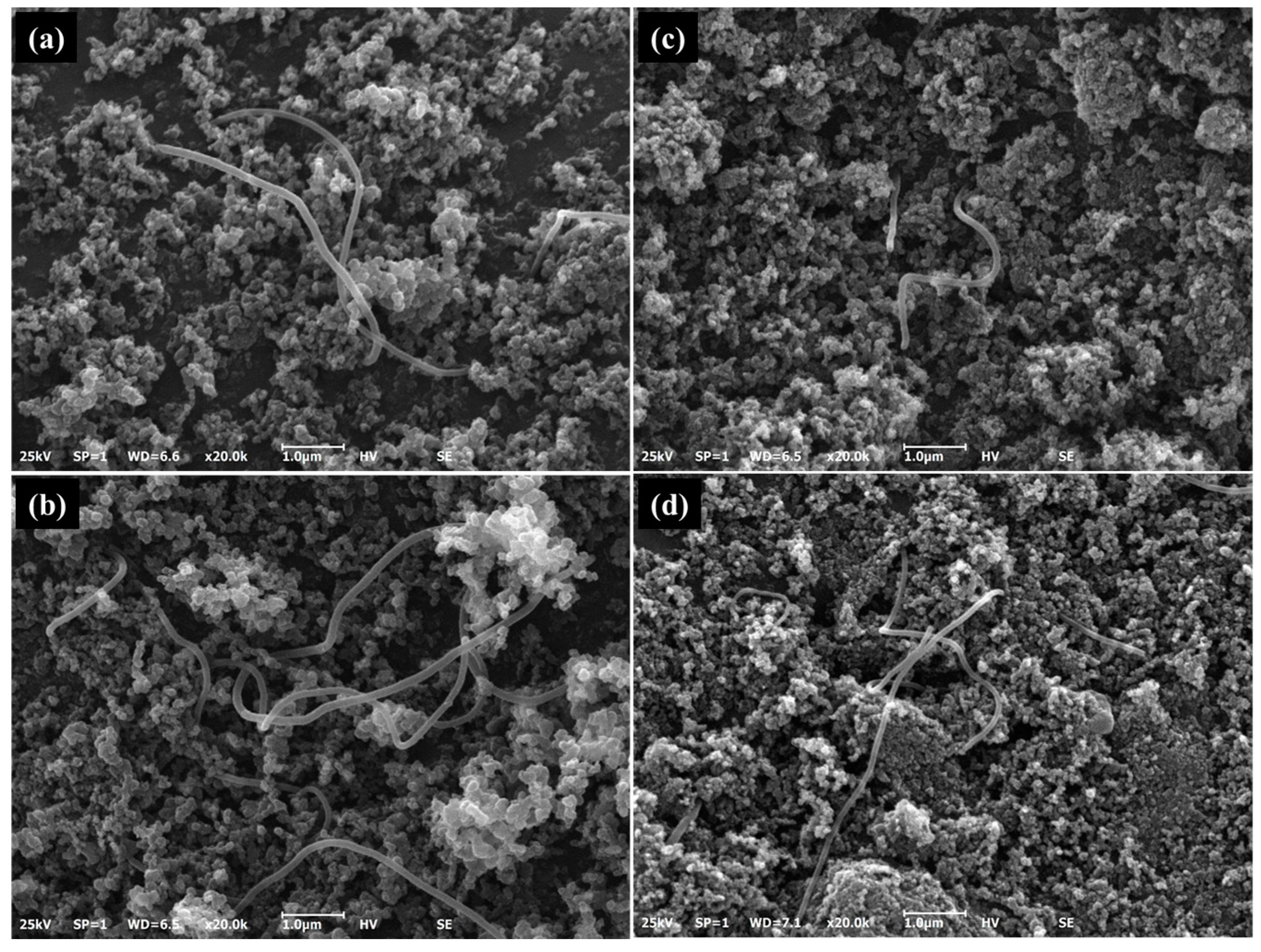 Membranes 15 00003 g005