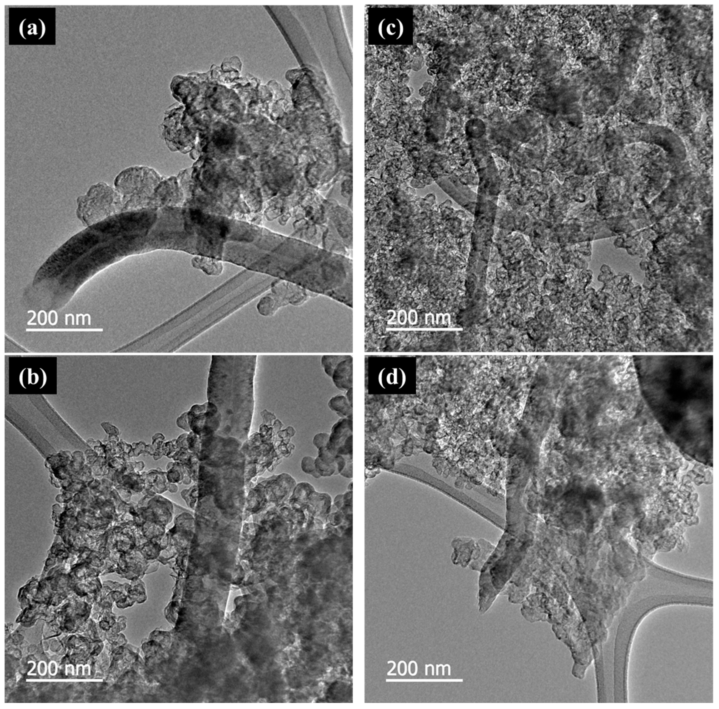 Membranes 15 00003 g006