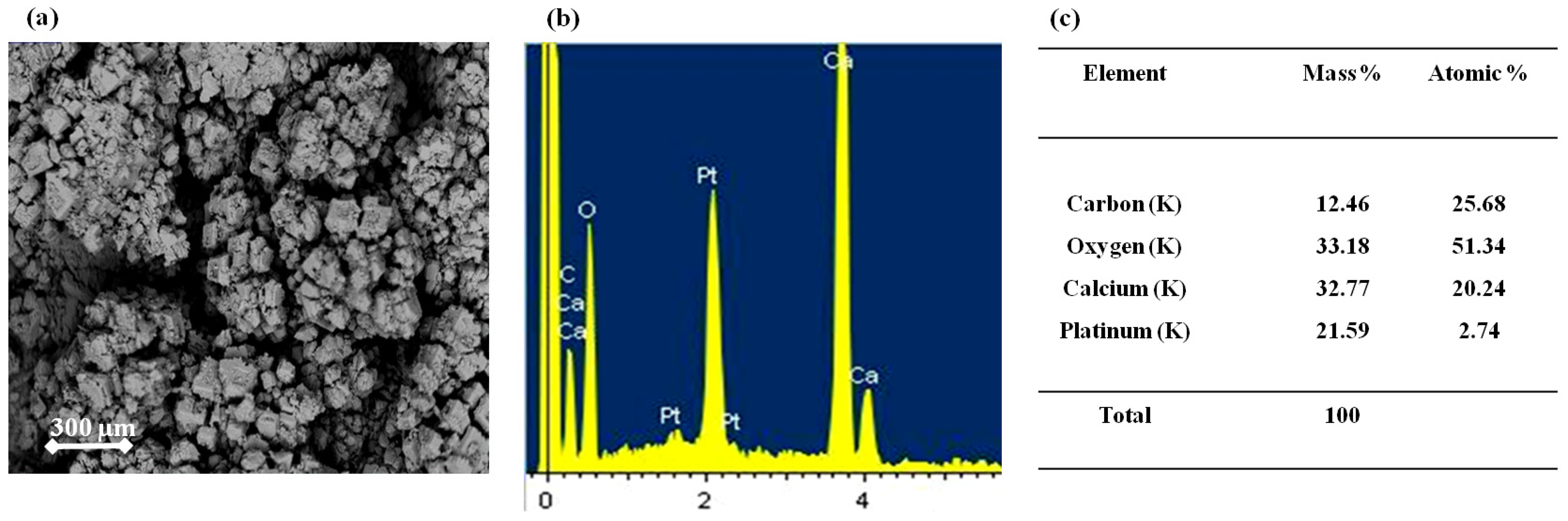 Membranes 15 00005 g004