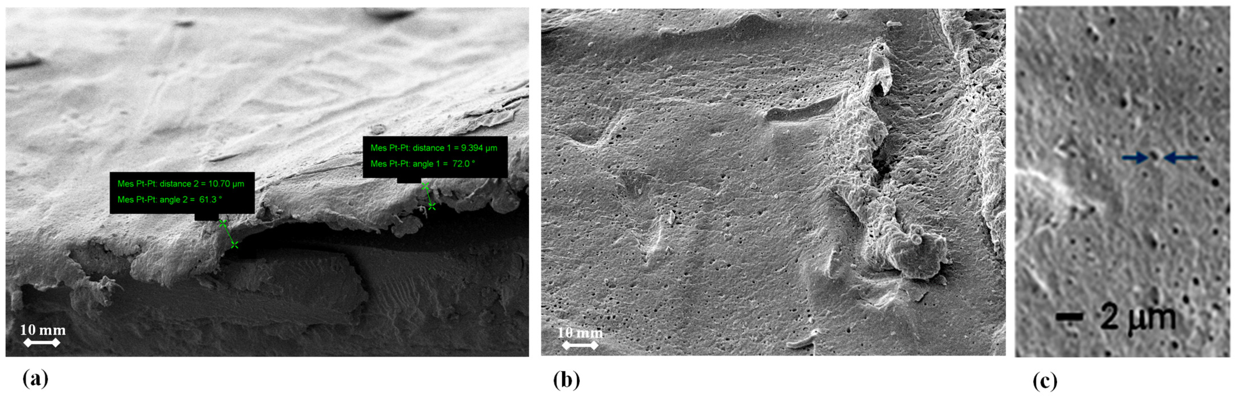 Membranes 15 00005 g007
