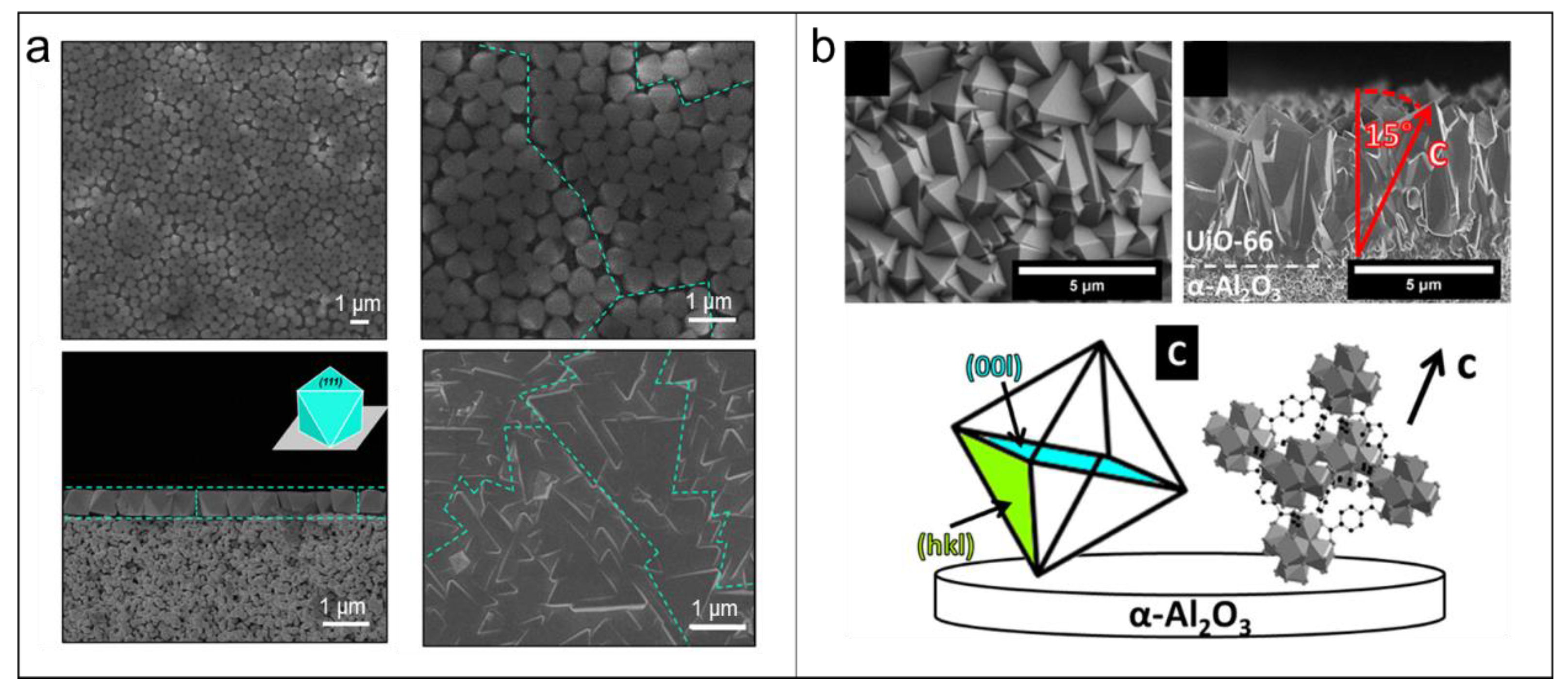 Membranes 15 00008 g004