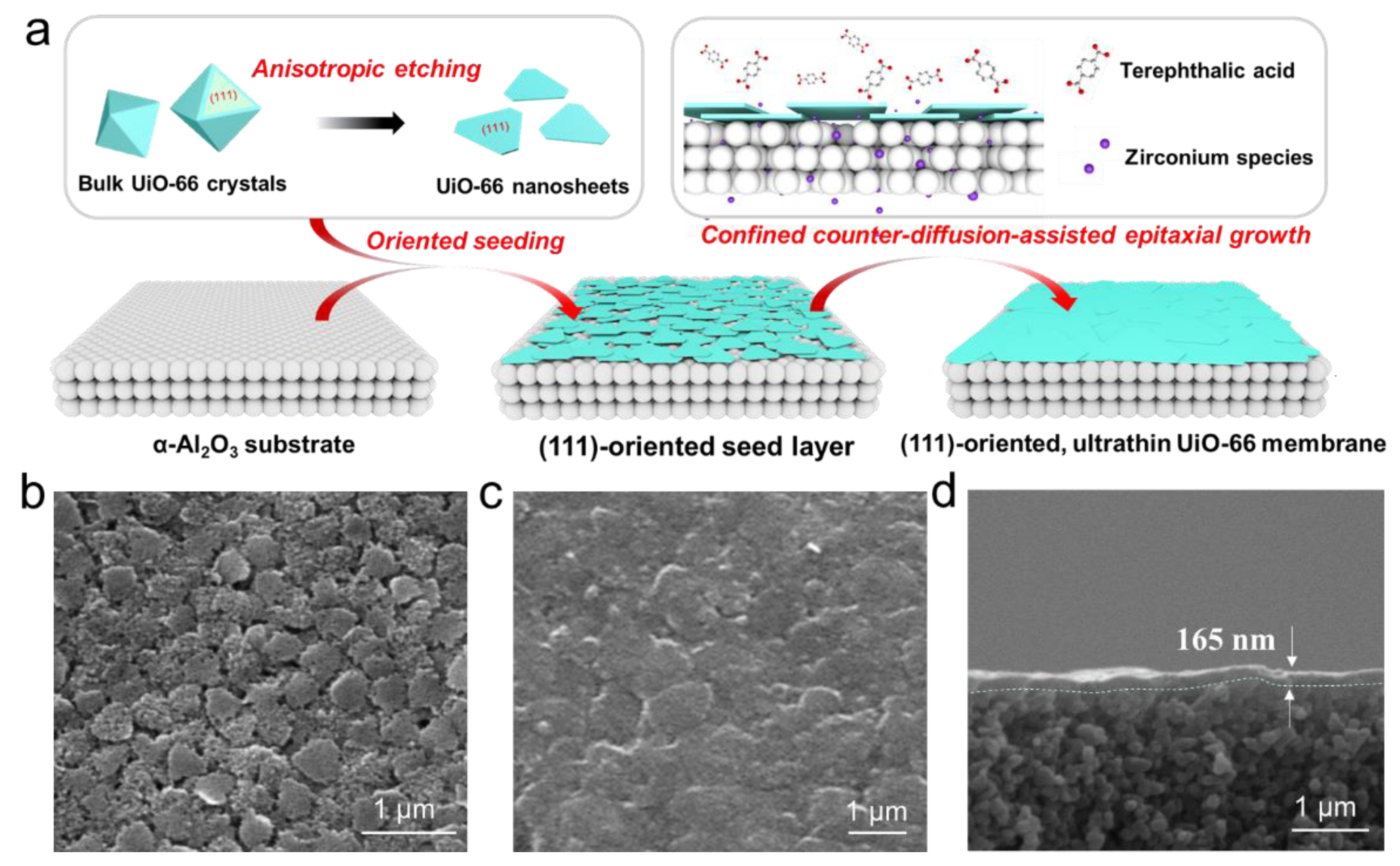 Membranes 15 00008 g006