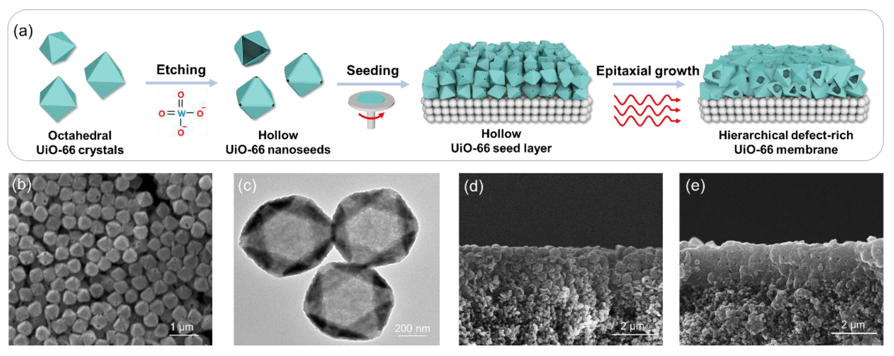 Membranes 15 00008 g008