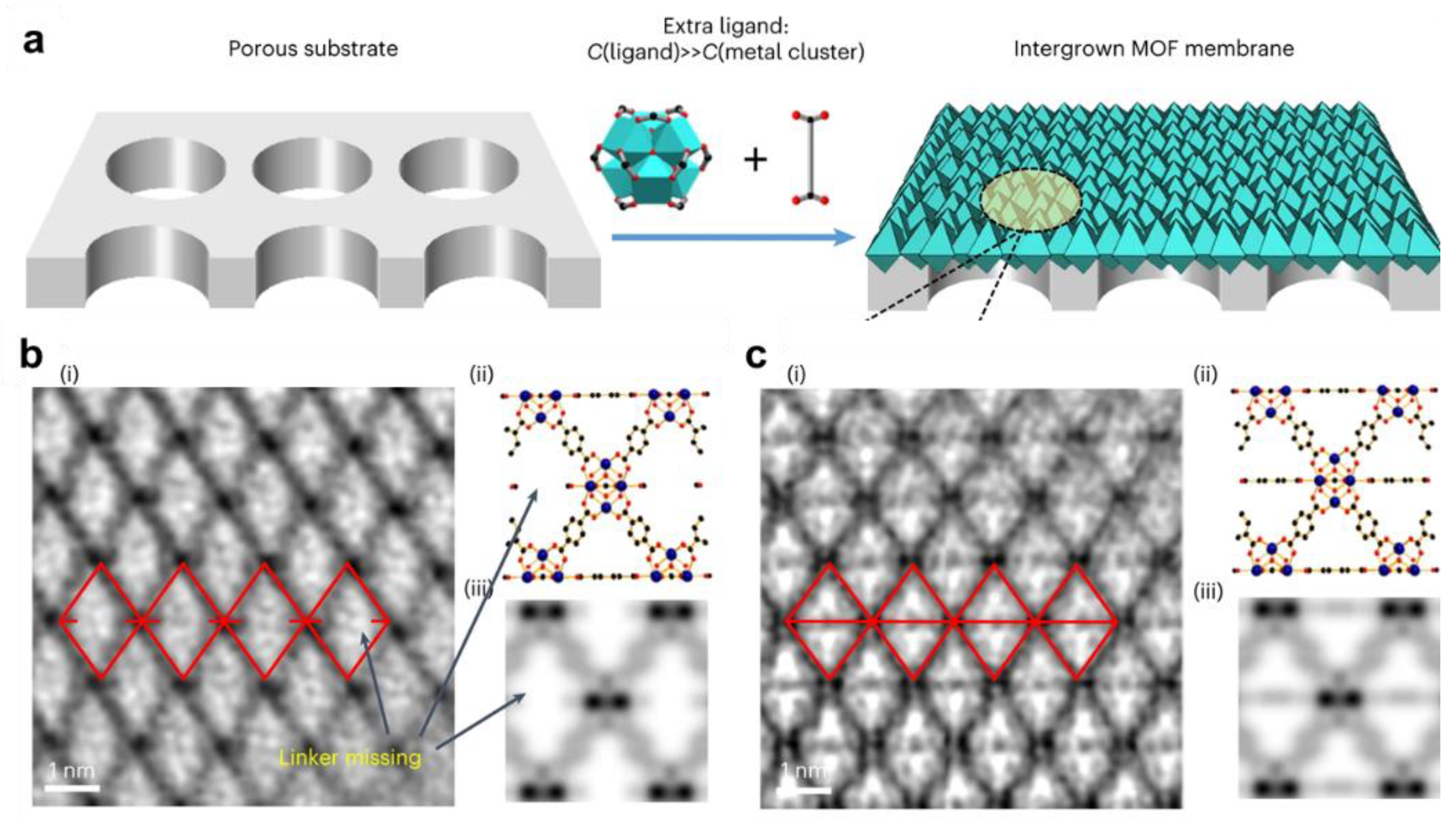 Membranes 15 00008 g010