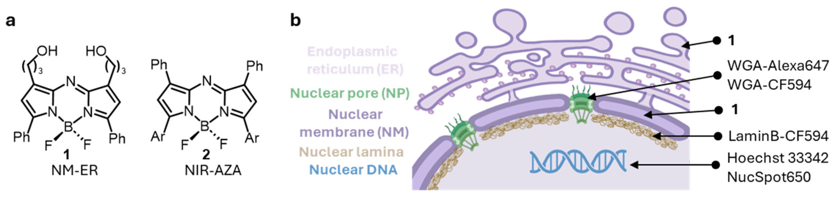 Membranes 15 00009 g001 Membranes 15 00009 g001