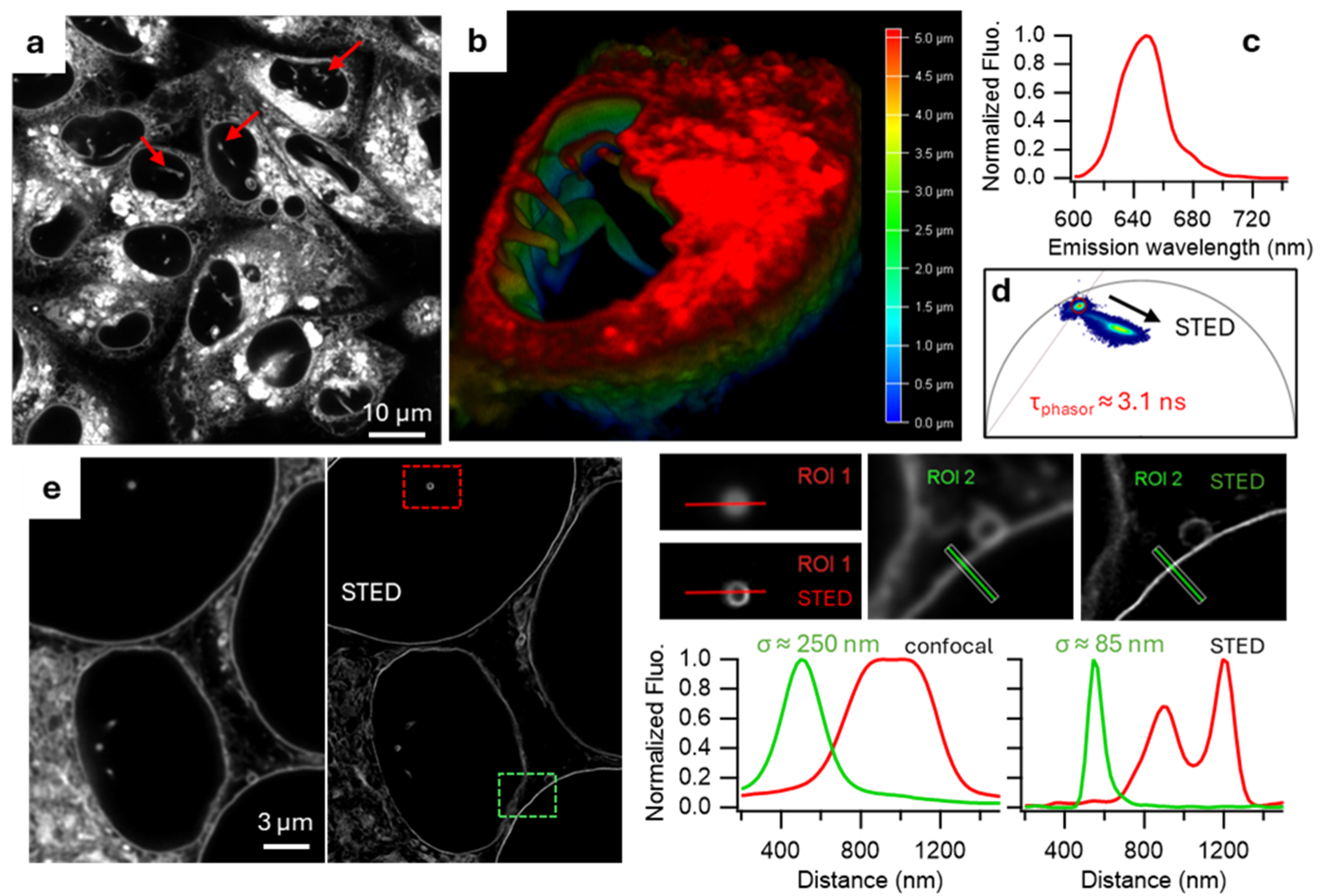 Membranes 15 00009 g004 Membranes 15 00009 g004