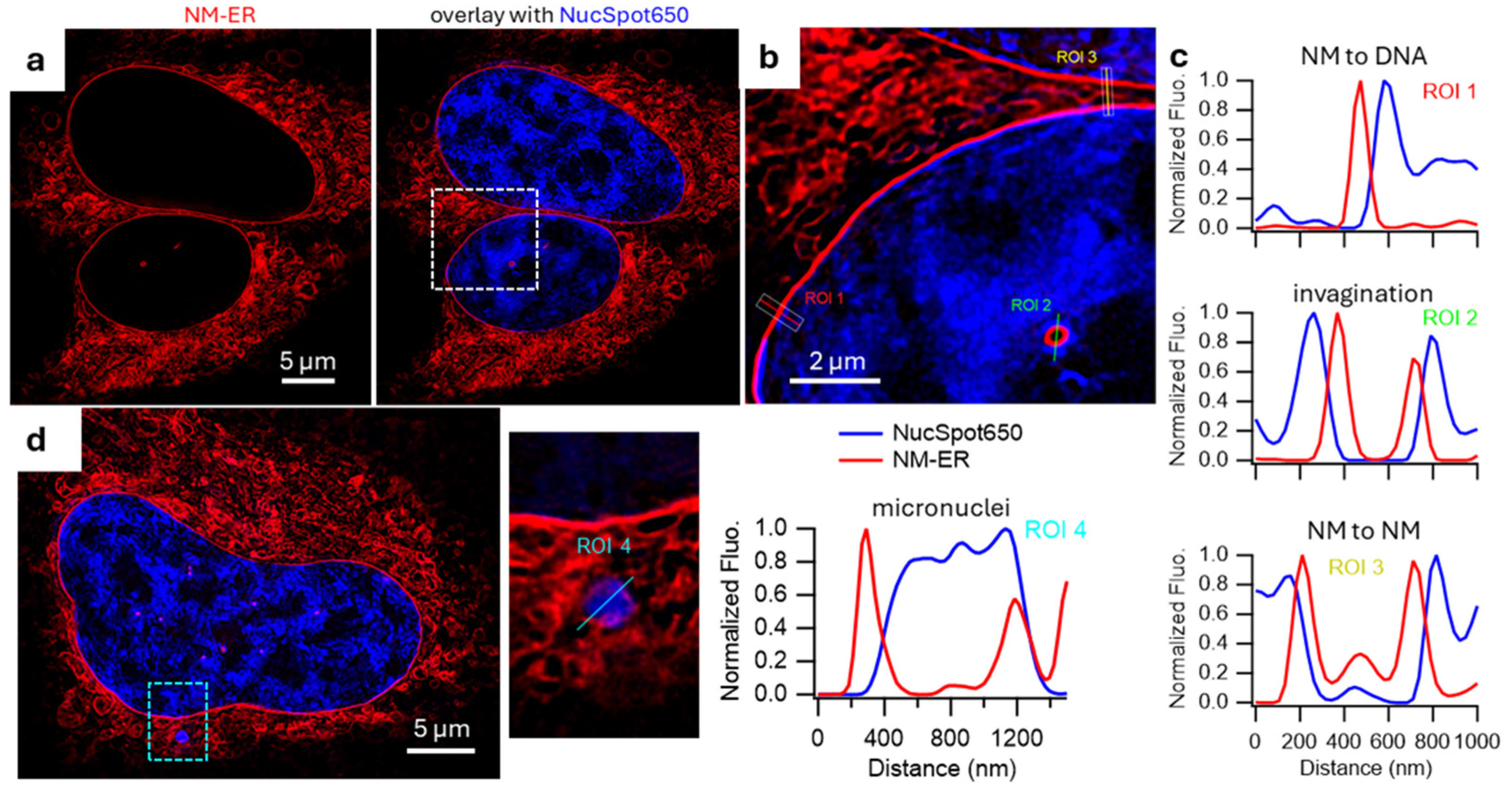 Membranes 15 00009 g006 Membranes 15 00009 g006