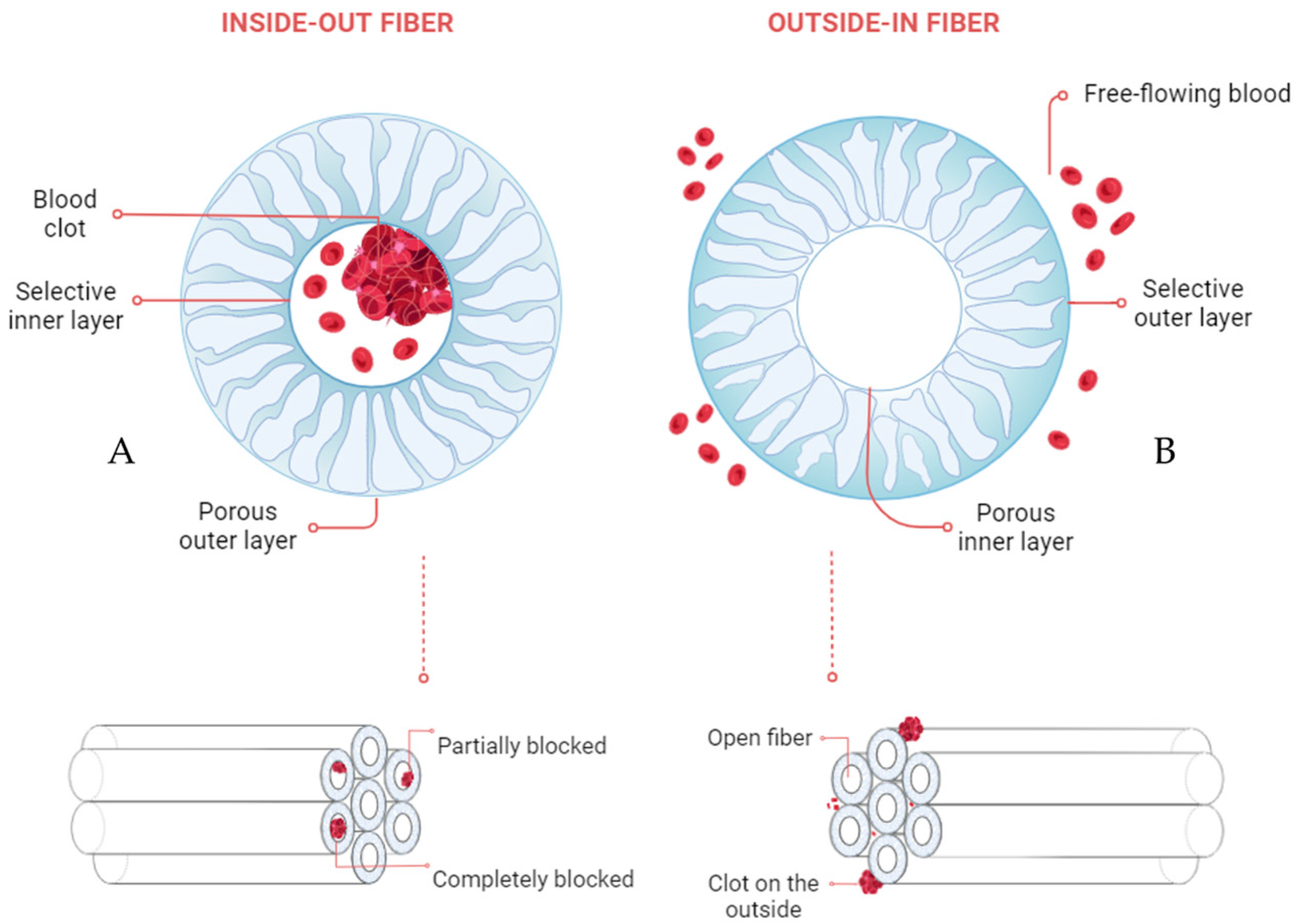 Membranes 15 00016 g001
