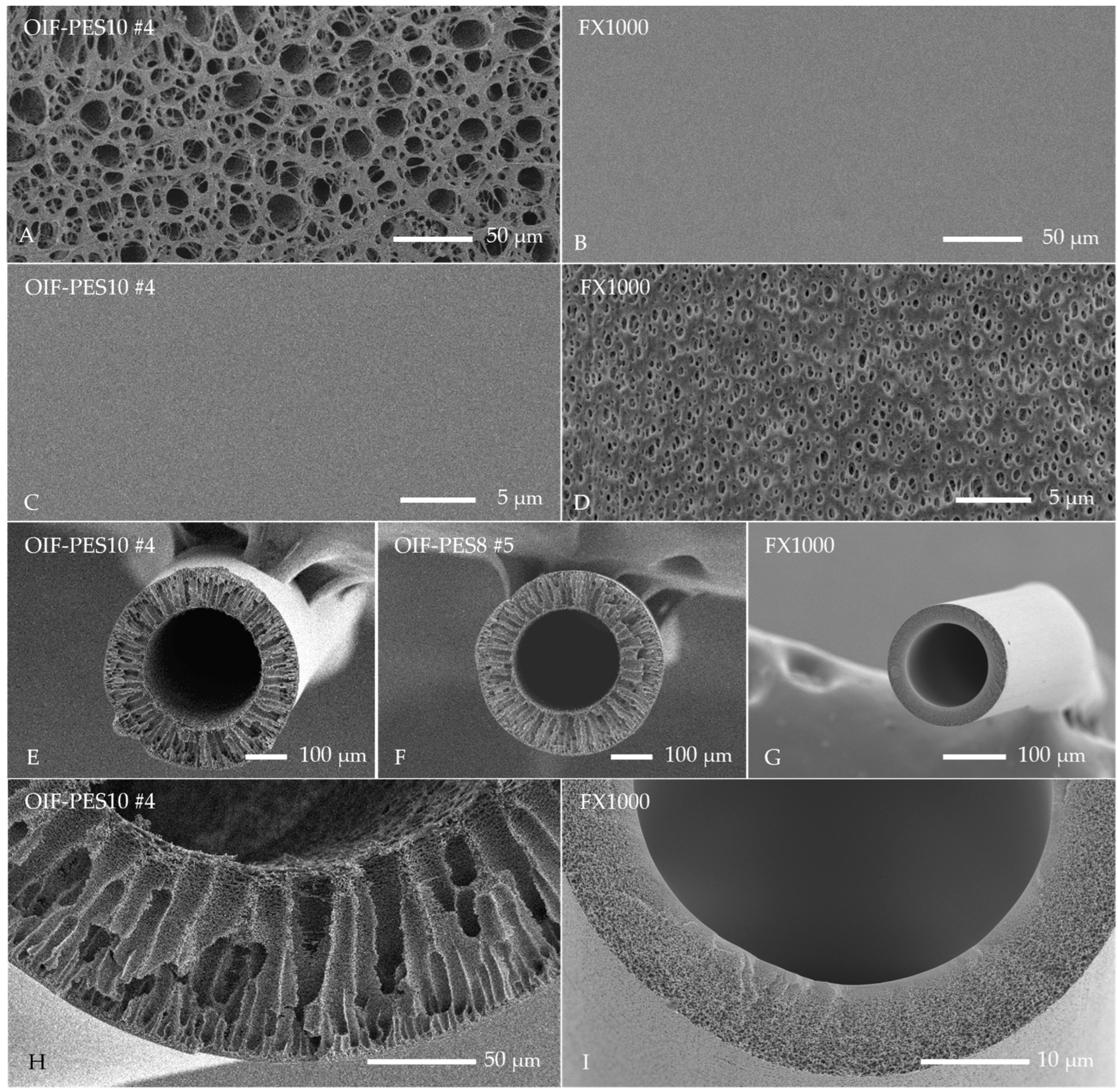 Membranes 15 00016 g004