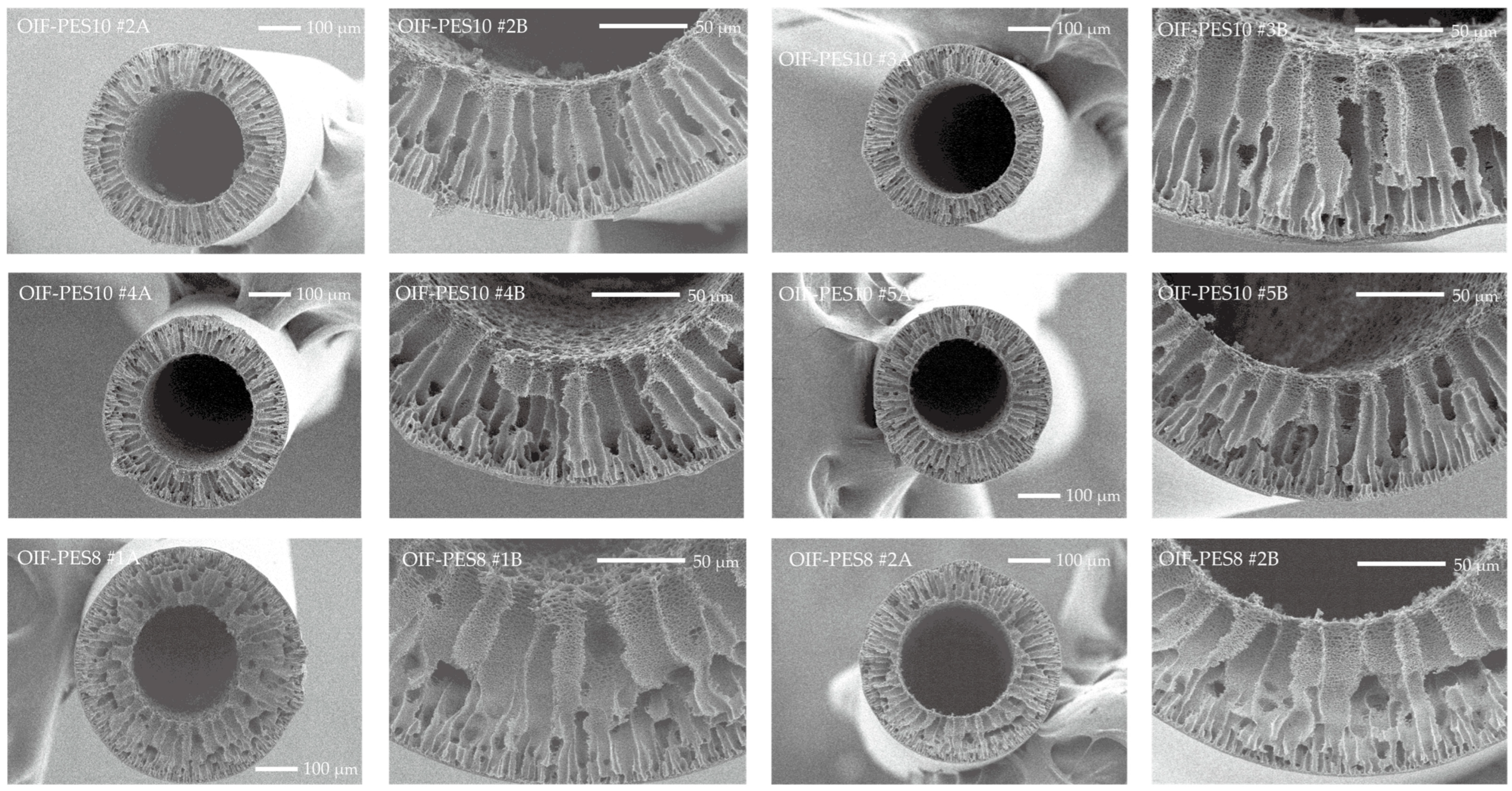 Membranes 15 00016 g0a1b