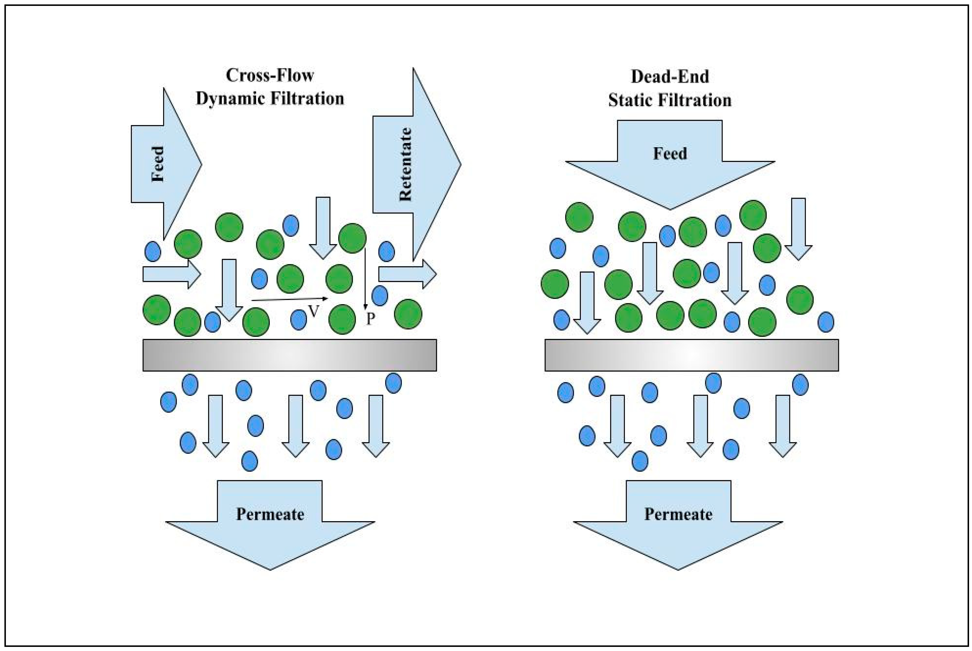 Membranes 15 00017 g004