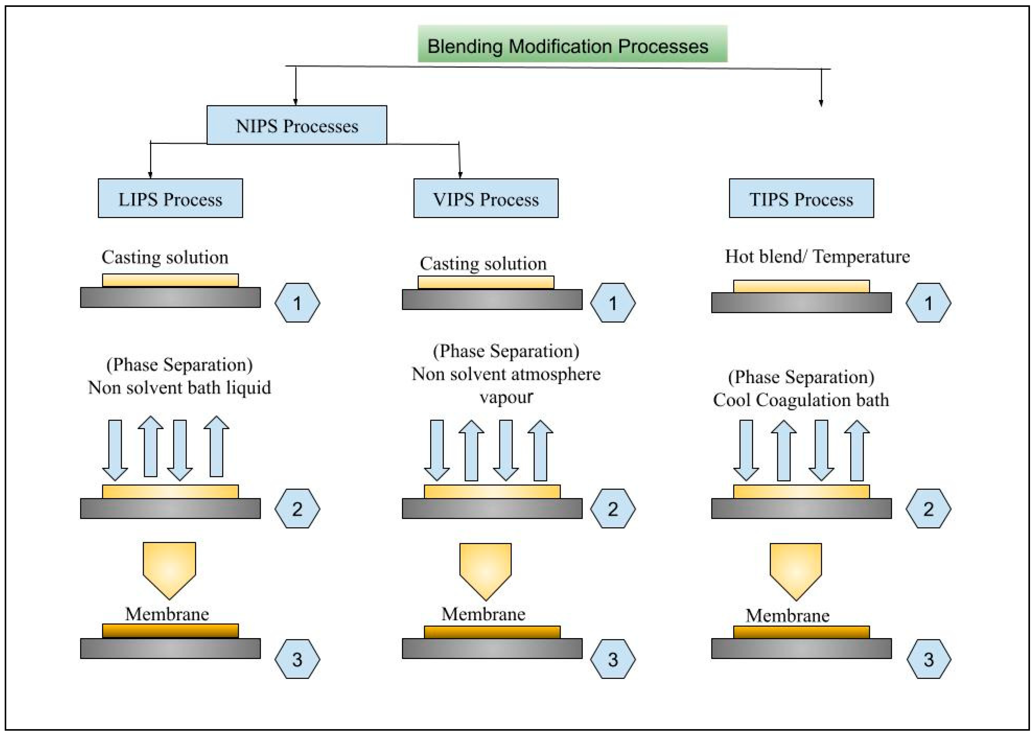Membranes 15 00017 g006