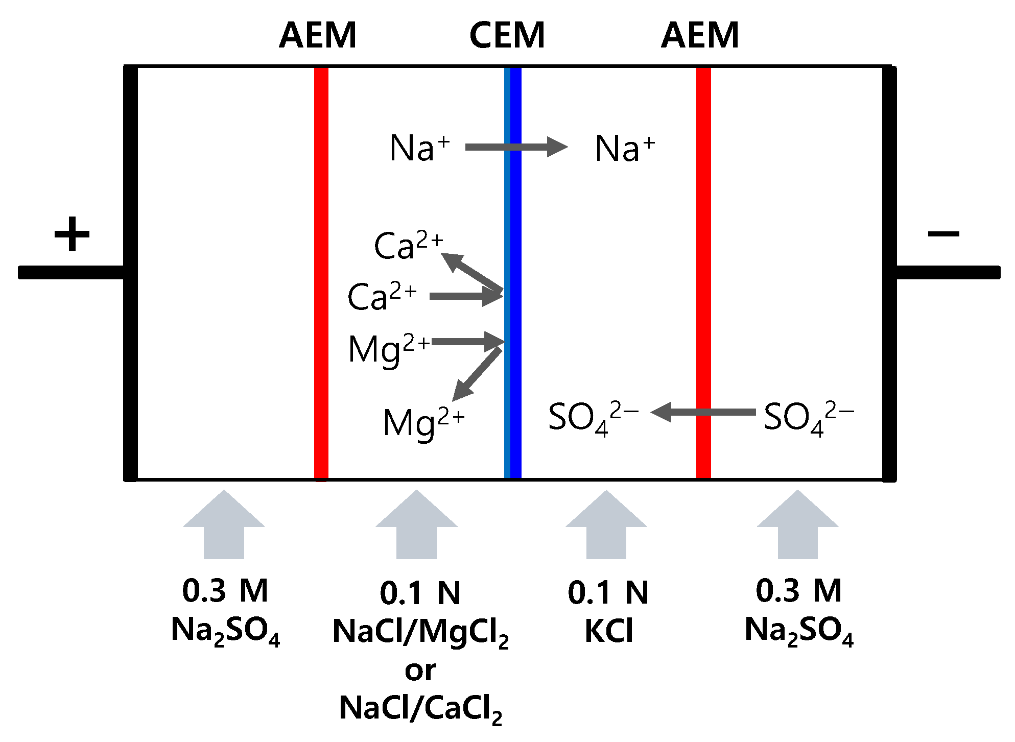 Membranes 15 00019 g002