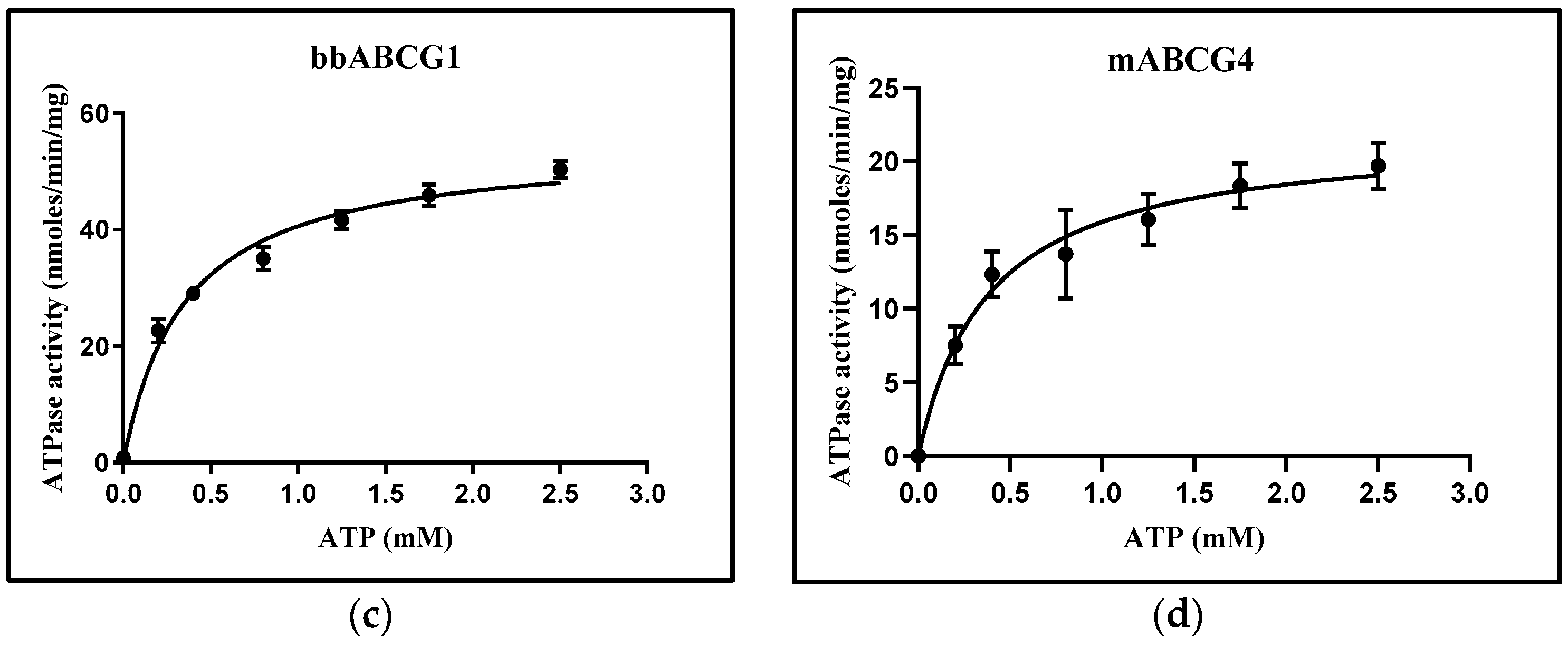 Membranes 15 00020 g003b