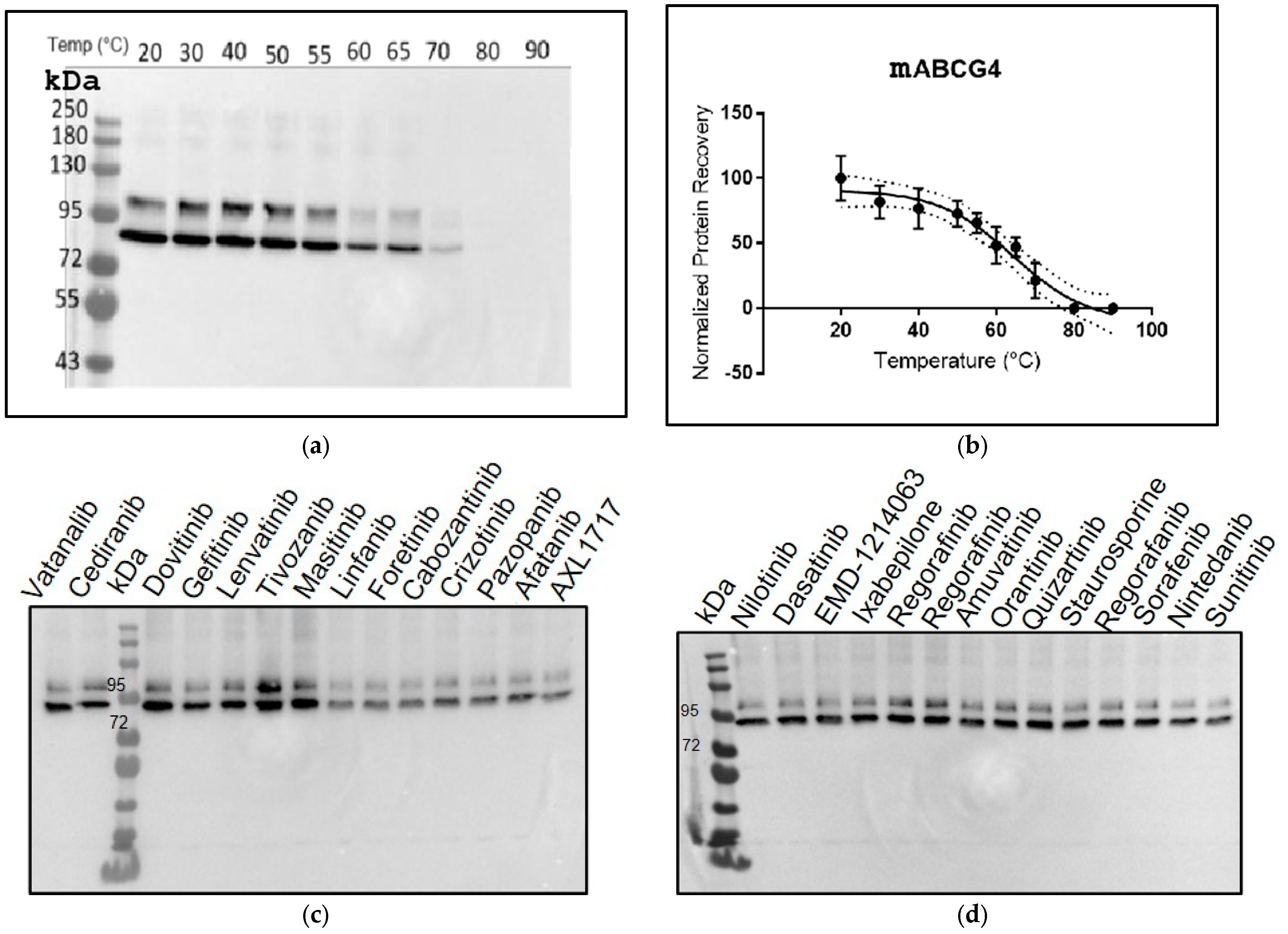 Membranes 15 00020 g005