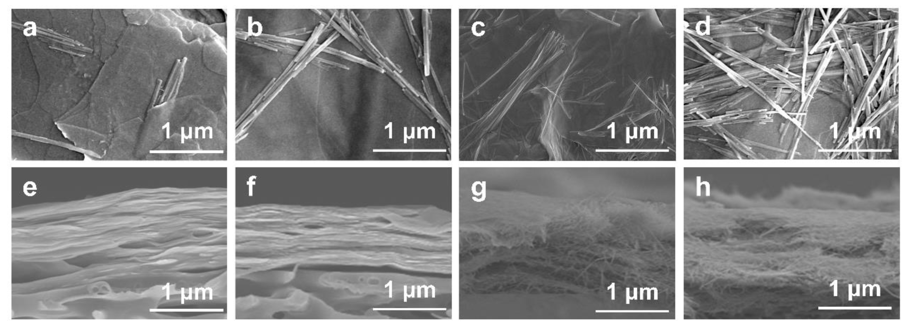 Membranes 15 00025 g002