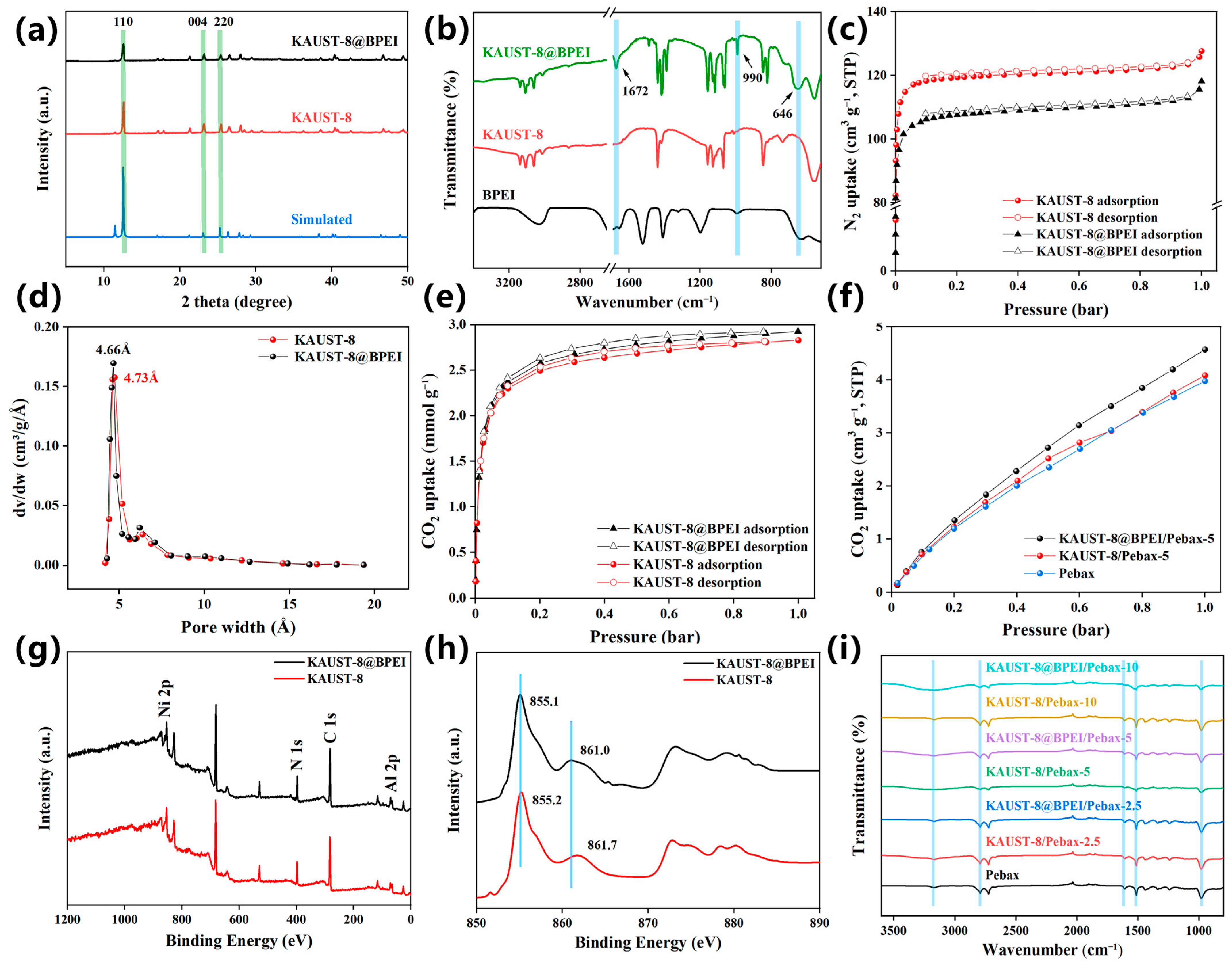 Membranes 15 00026 g003