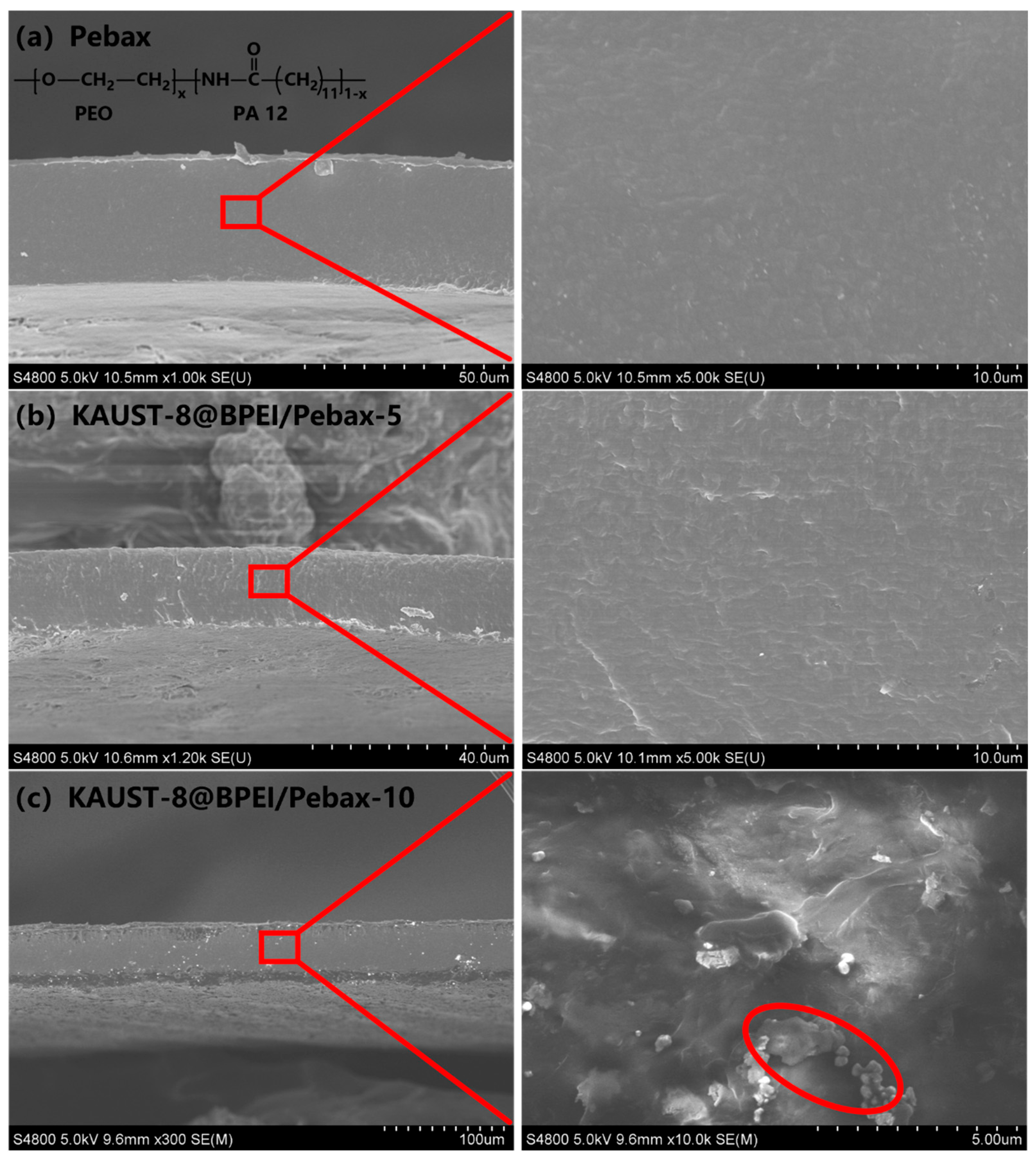 Membranes 15 00026 g004