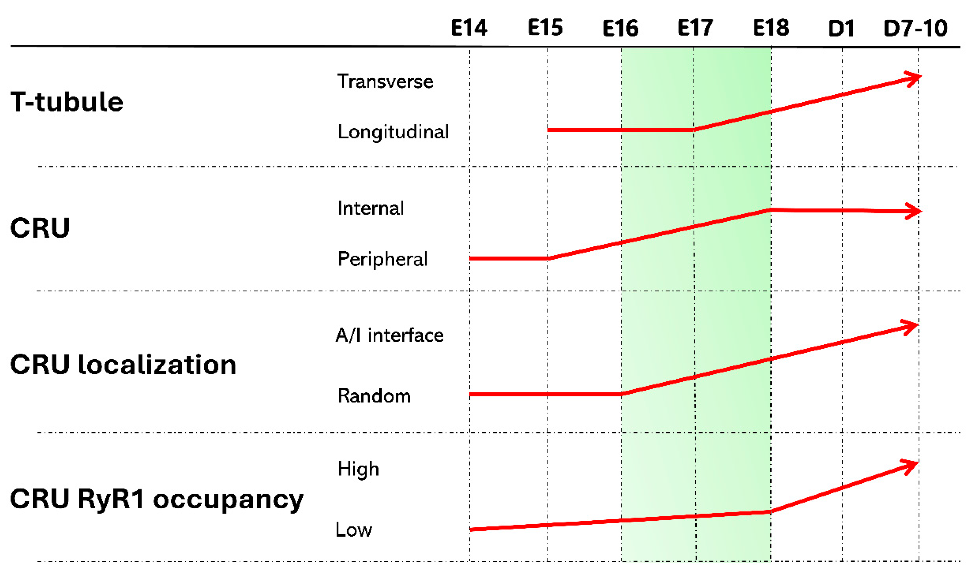 Membranes 15 00029 g003 Membranes 15 00029 g003