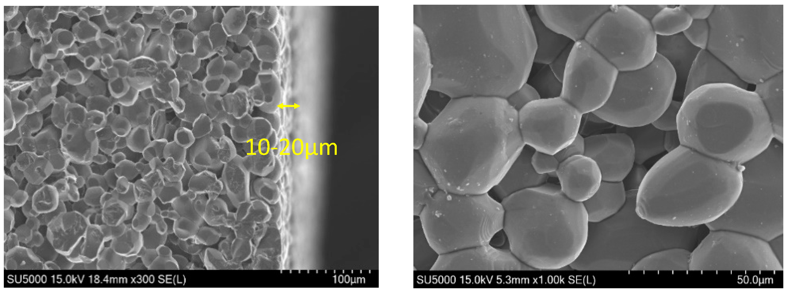 Membranes 15 00035 g003