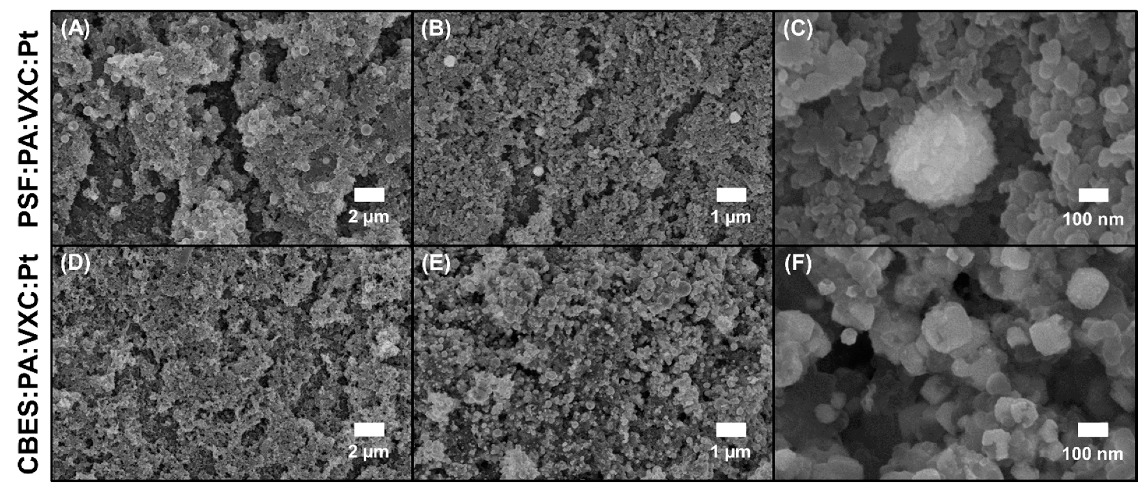 Membranes 15 00037 g004