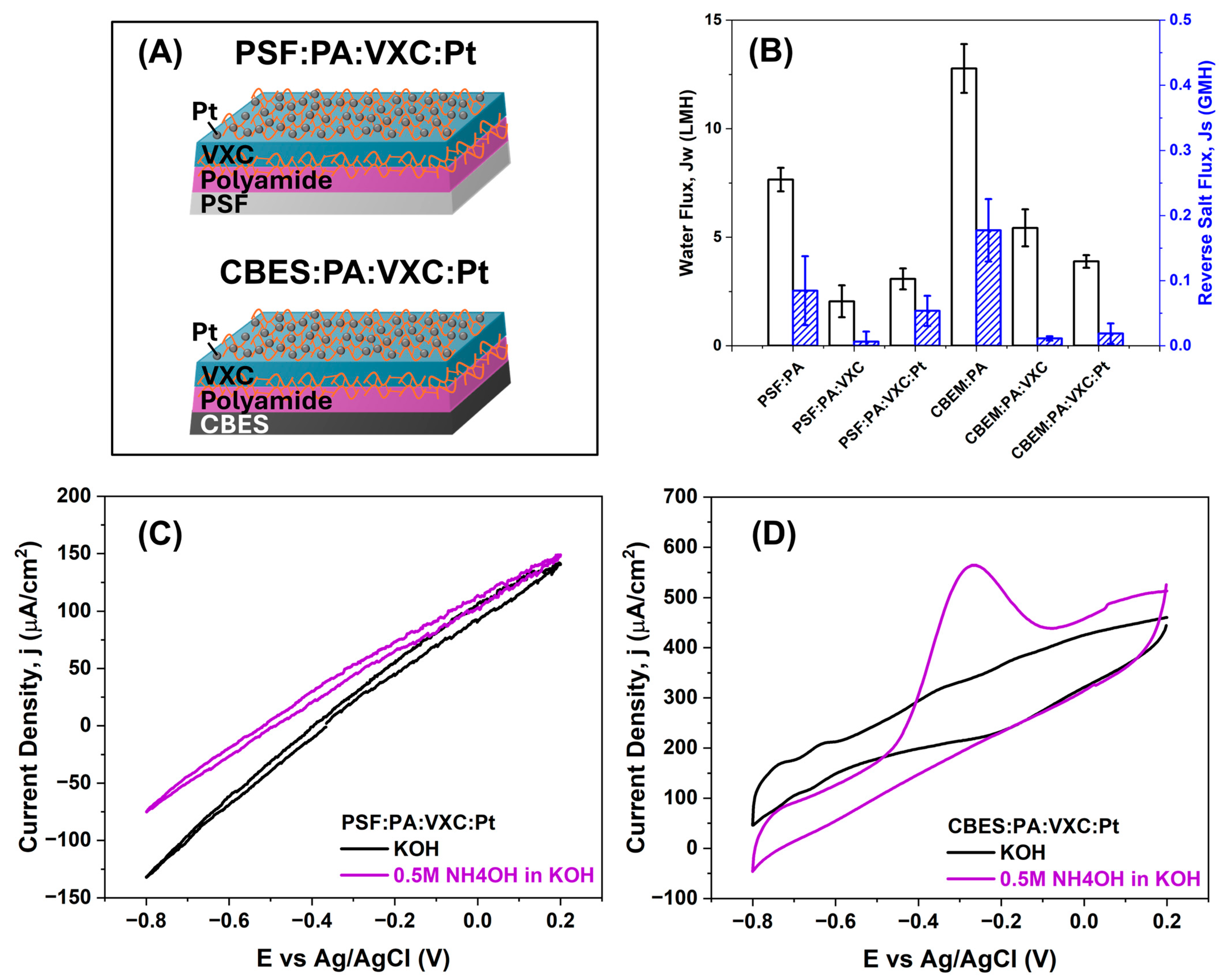Membranes 15 00037 g007