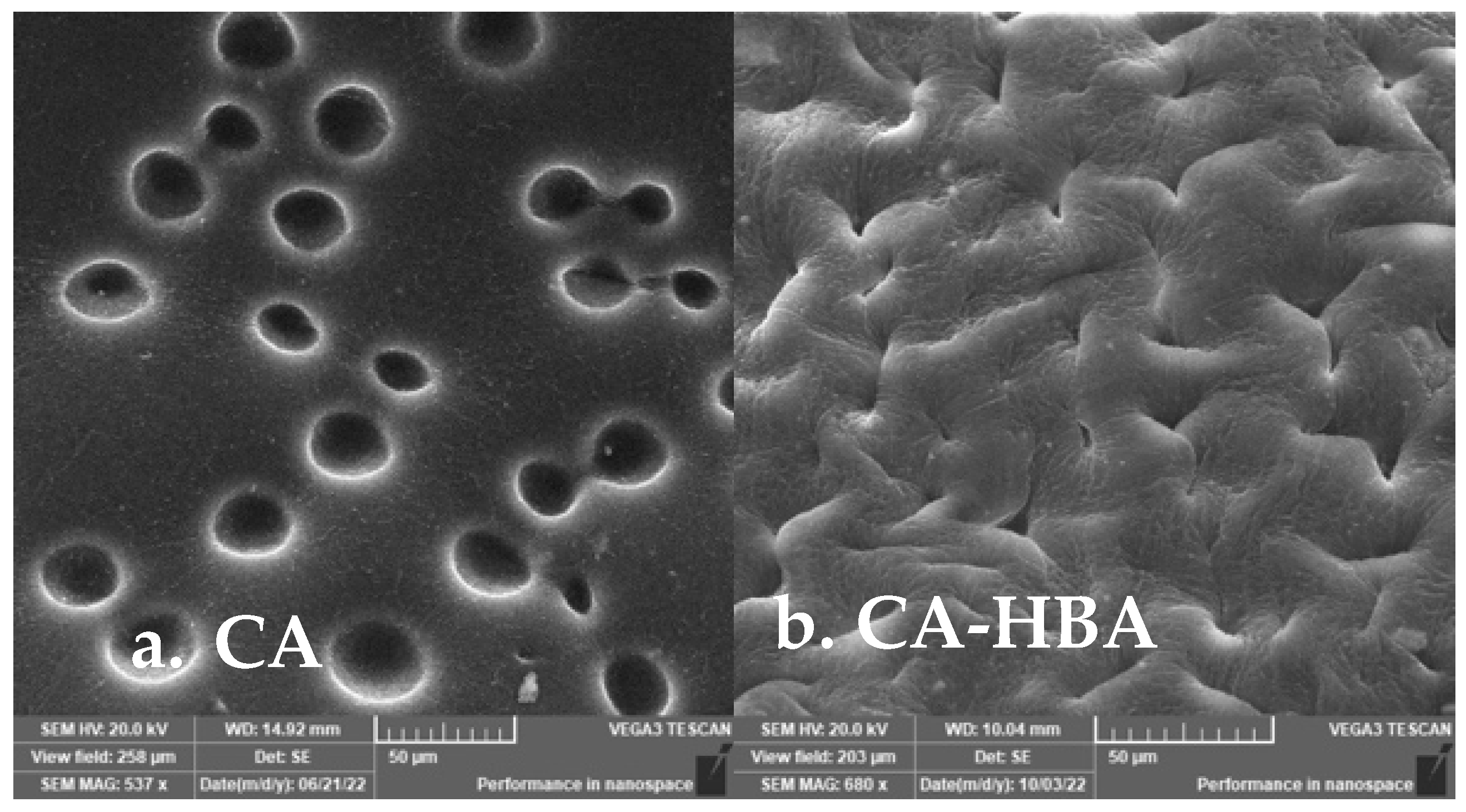Membranes 15 00038 g006