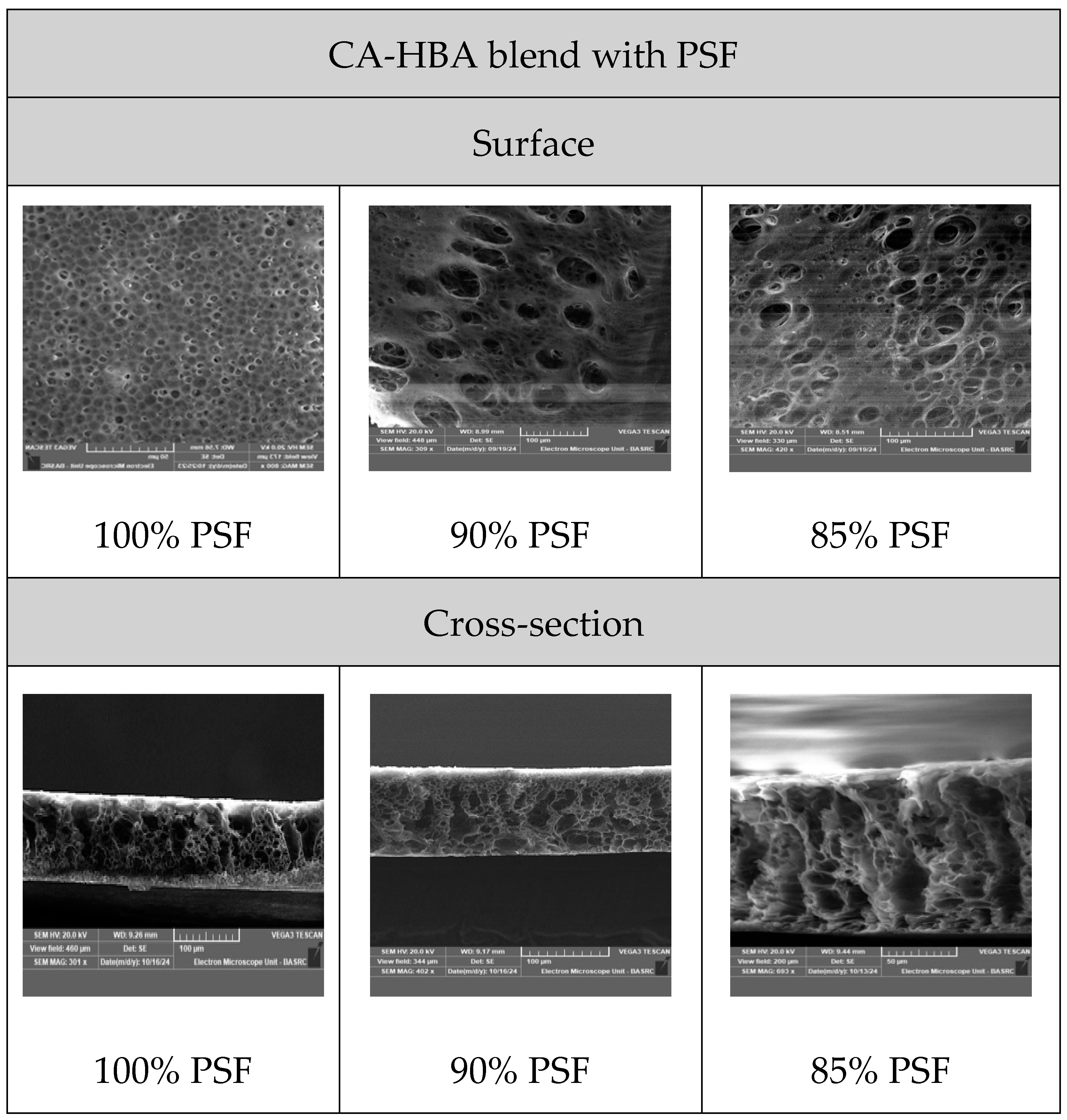 Membranes 15 00038 g009