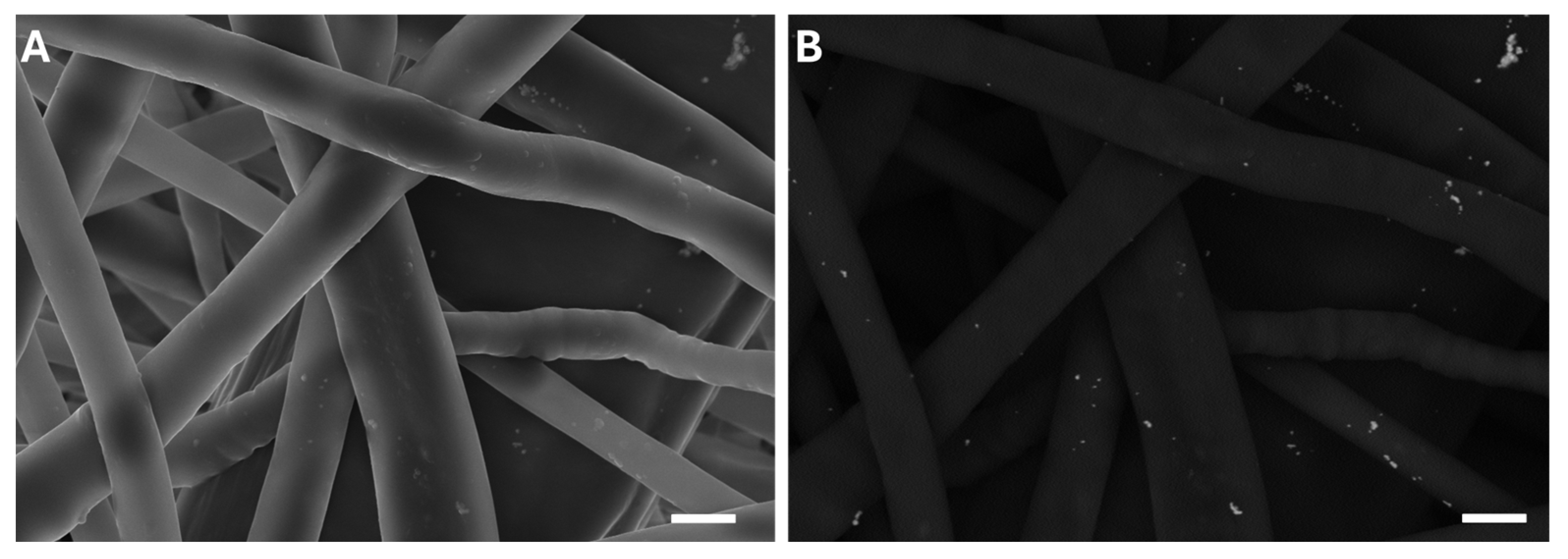 Membranes 15 00039 g002