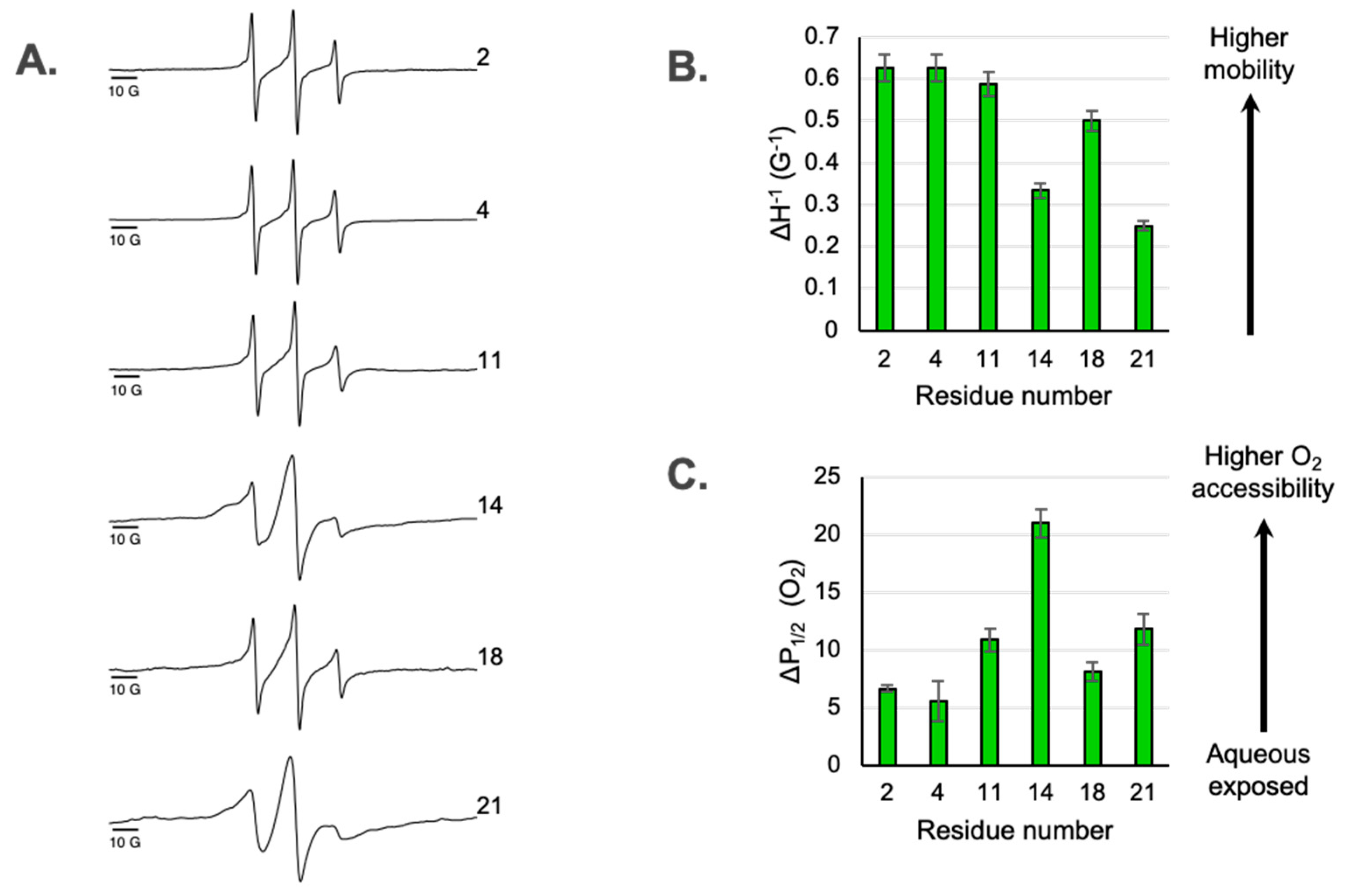 Membranes 15 00040 g002 Membranes 15 00040 g002