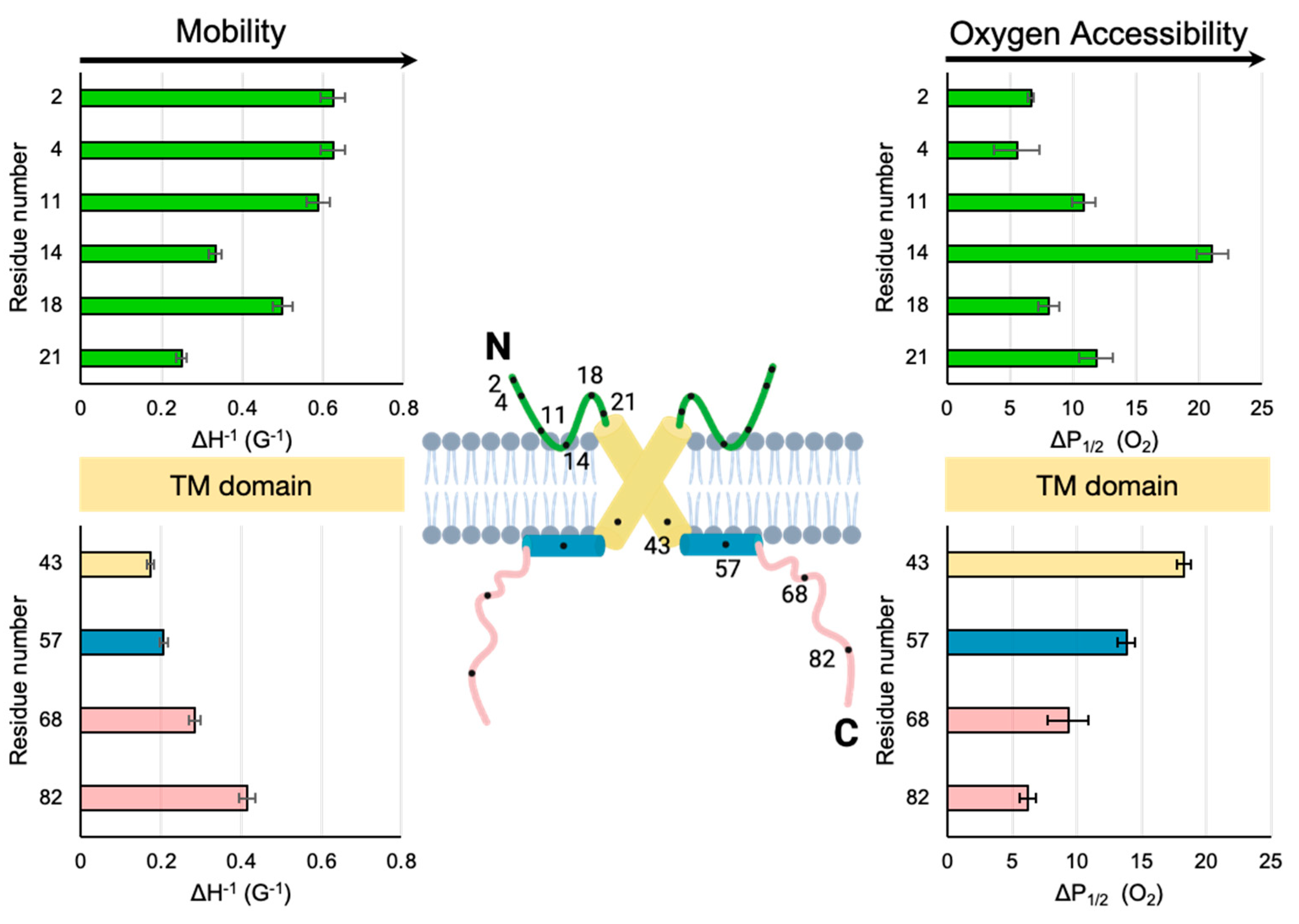 Membranes 15 00040 g004 Membranes 15 00040 g004