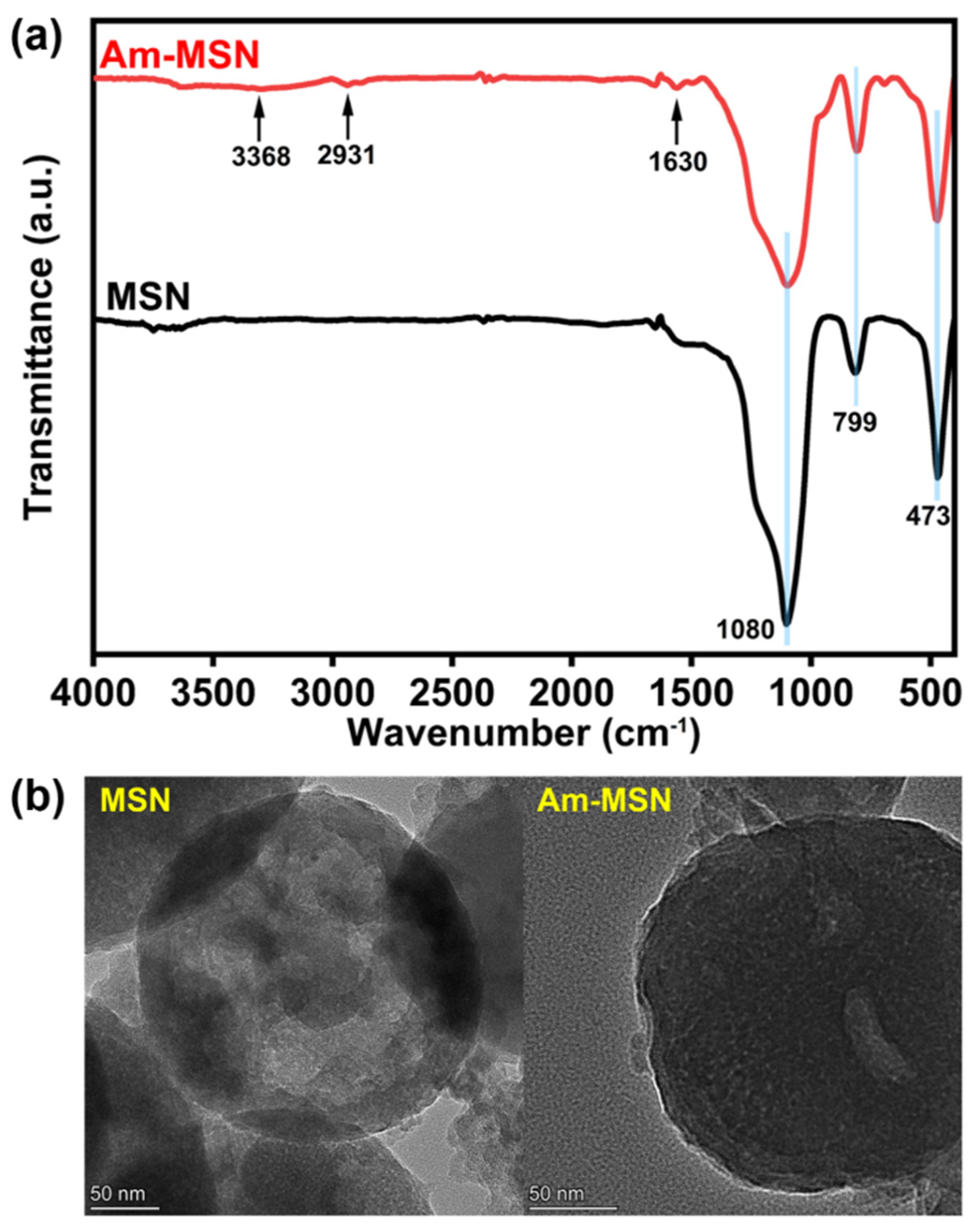 Membranes 15 00042 g001