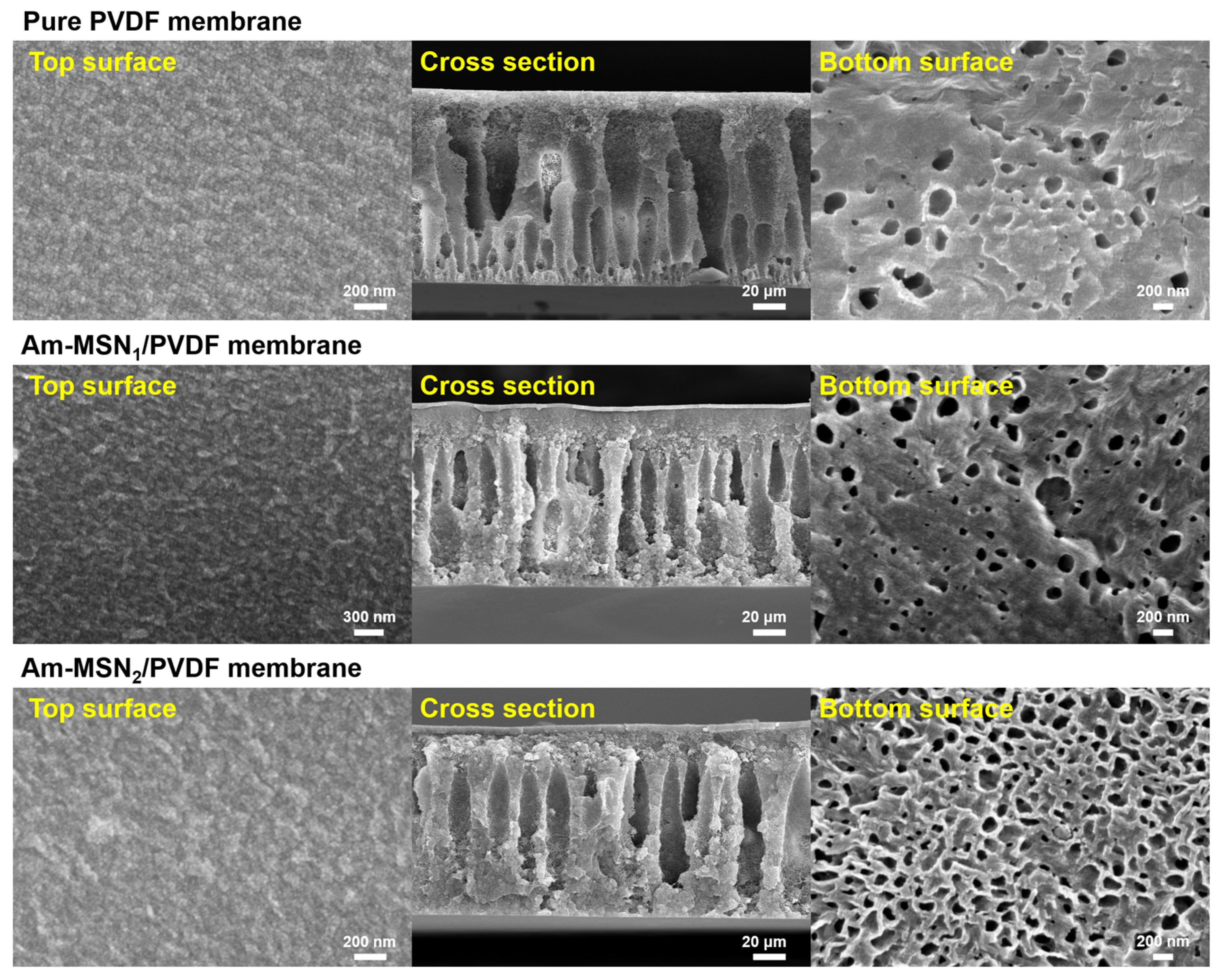 Membranes 15 00042 g006