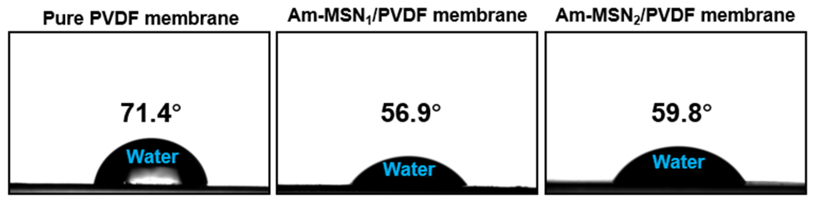Membranes 15 00042 g007