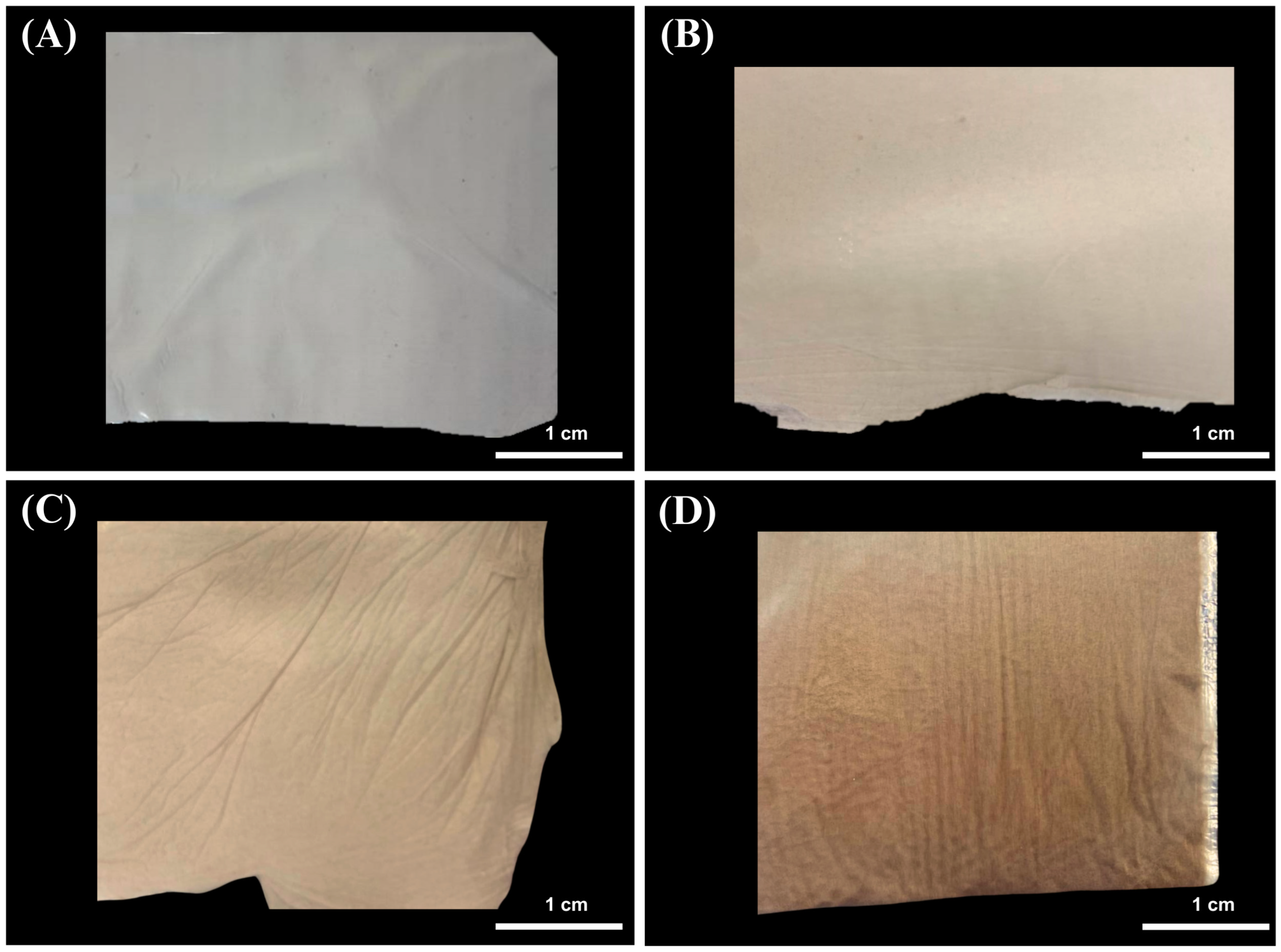 Membranes 15 00044 g001 Membranes 15 00044 g001