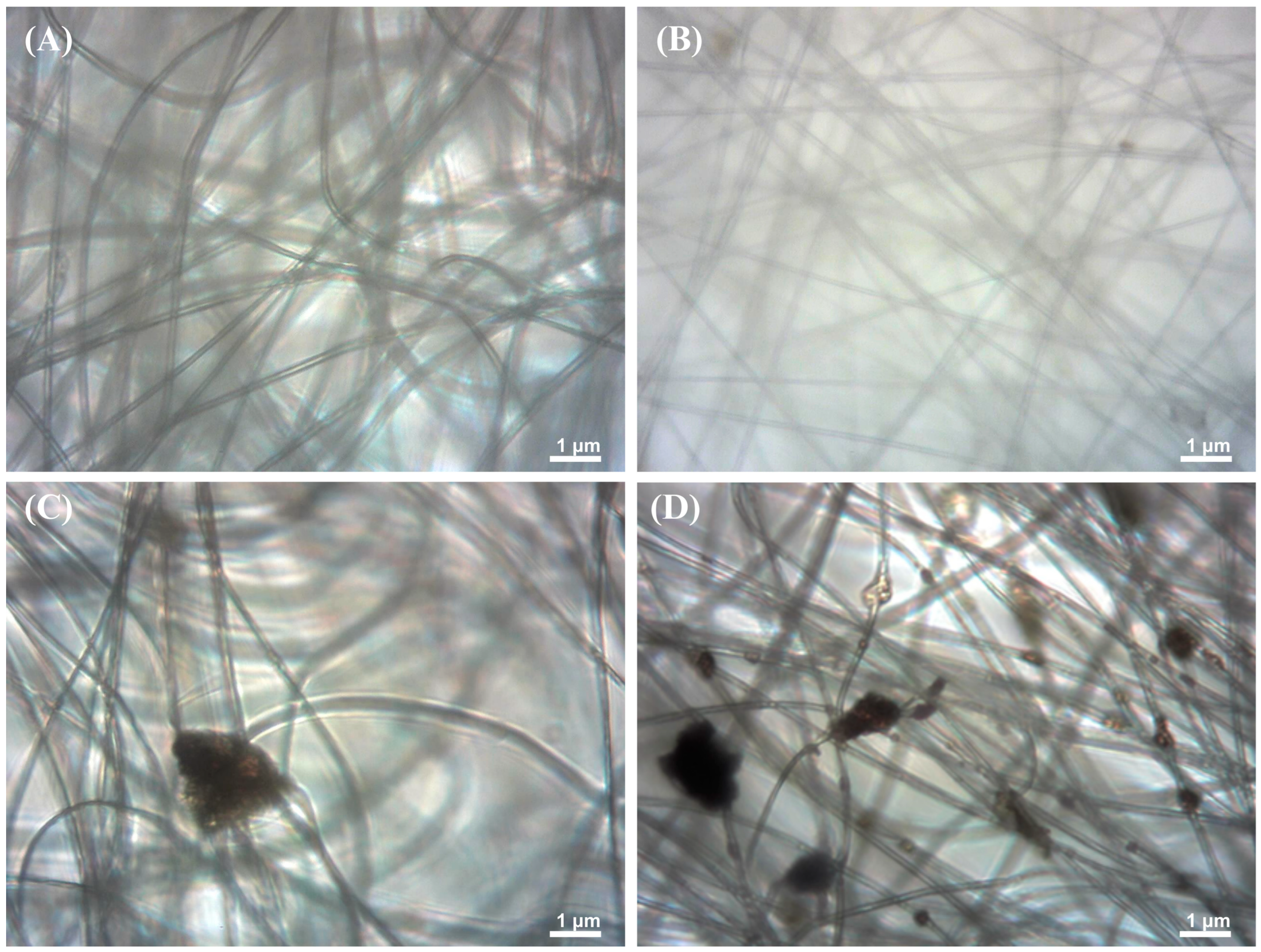 Membranes 15 00044 g002 Membranes 15 00044 g002